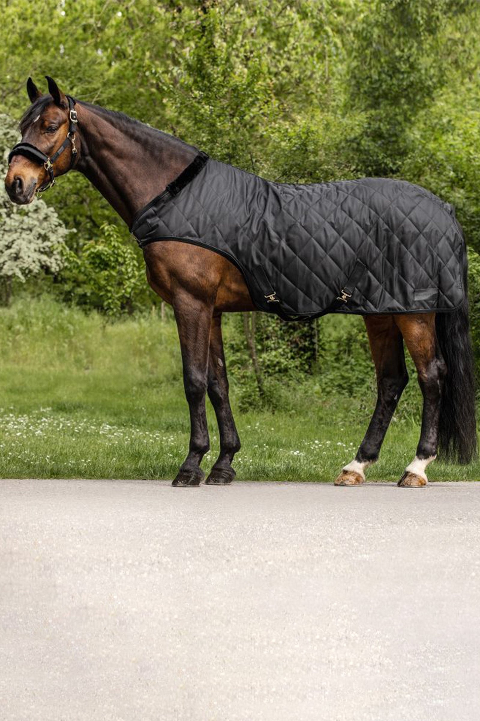 Waldhausen Exclusive Horsewalker Sheet, 50g Horse Rugs