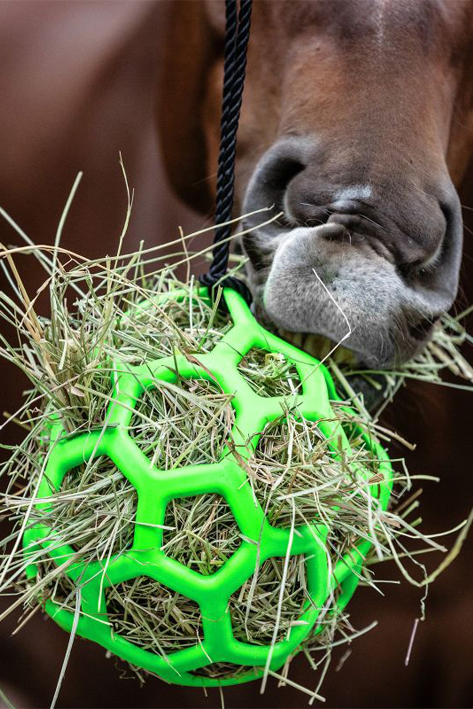 Waldhausen Pelota de heno Waldhausen Alimentación & Dar de Beber