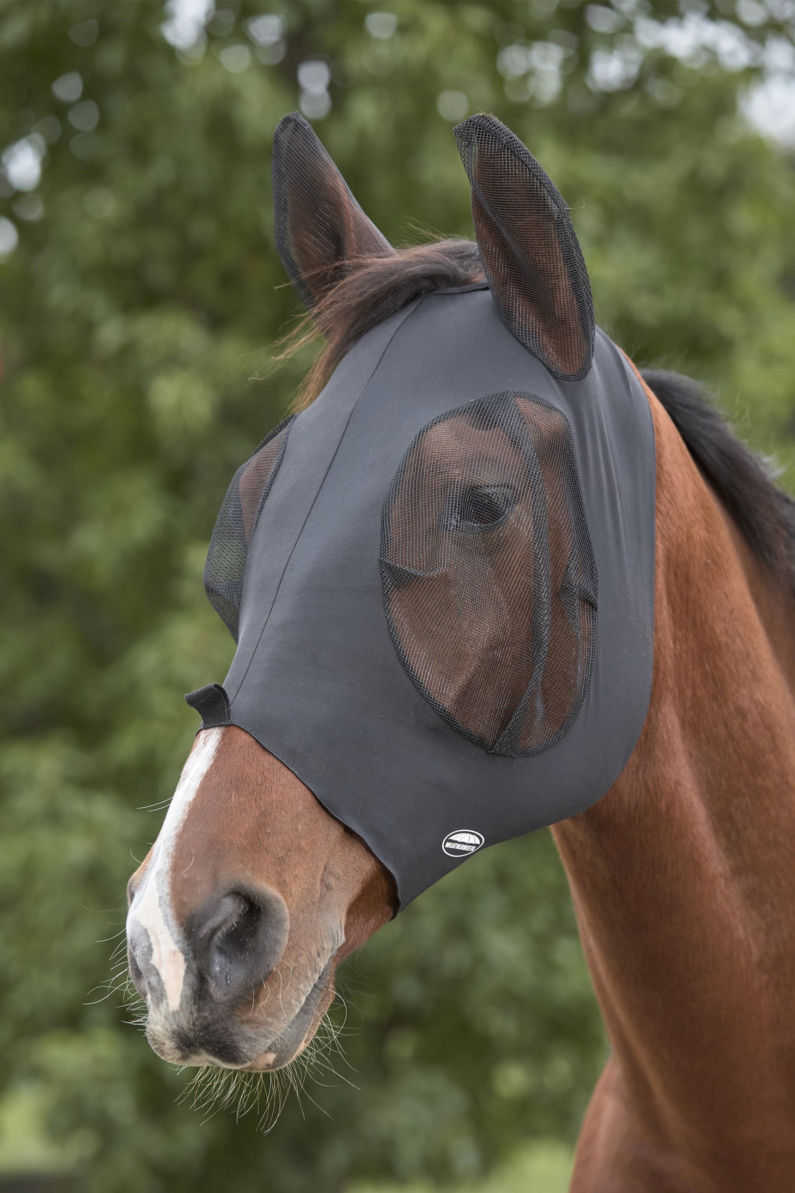 Weatherbeeta Máscara Anti-Moscas Elástica Protector de Ojos con Orejas Deluxe Protección Antimoscas para Caballos