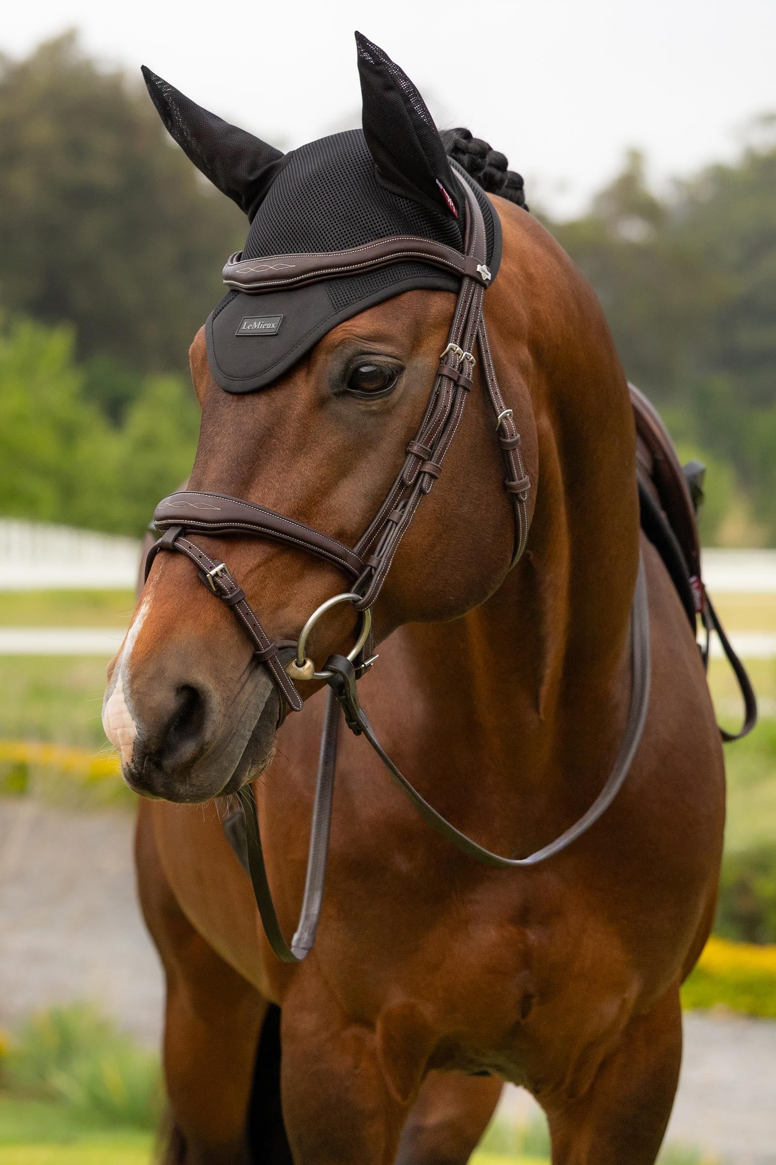 LeMieux Air-Tek Mesh Fly Hood Antifly Protection for Horses