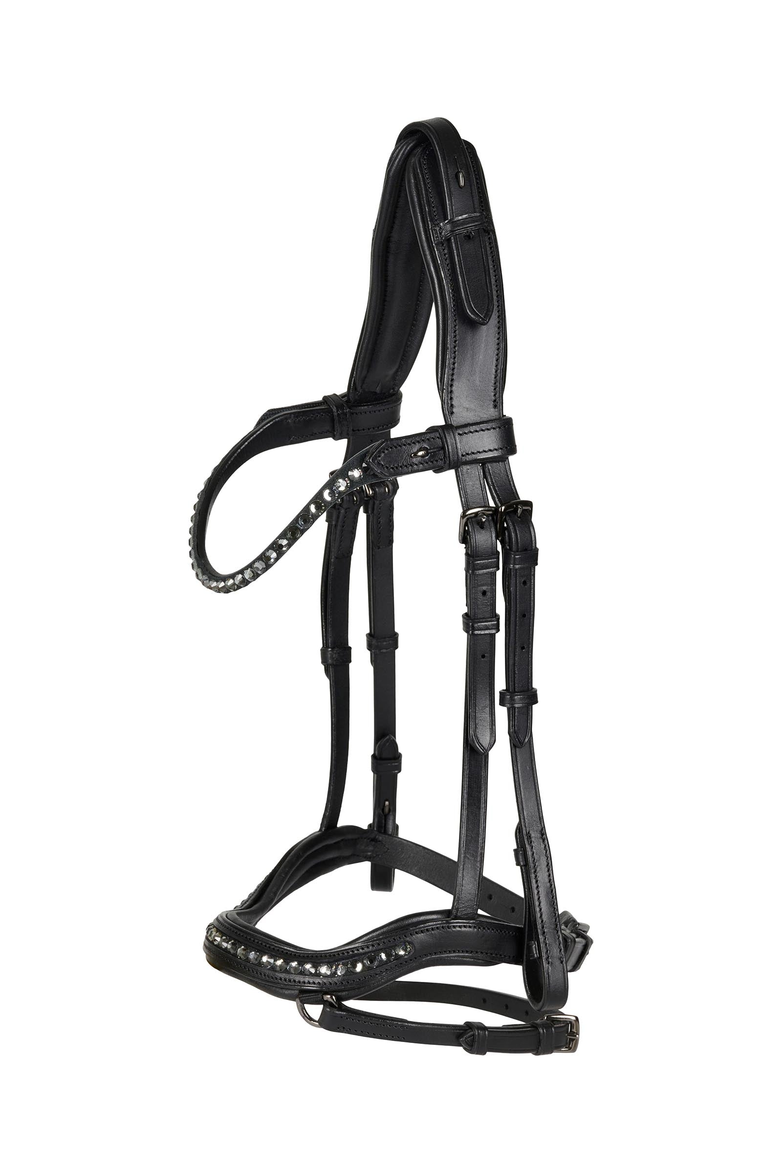 Catago Raja Icelandic Bridle Cabezadas de montar & Riendas