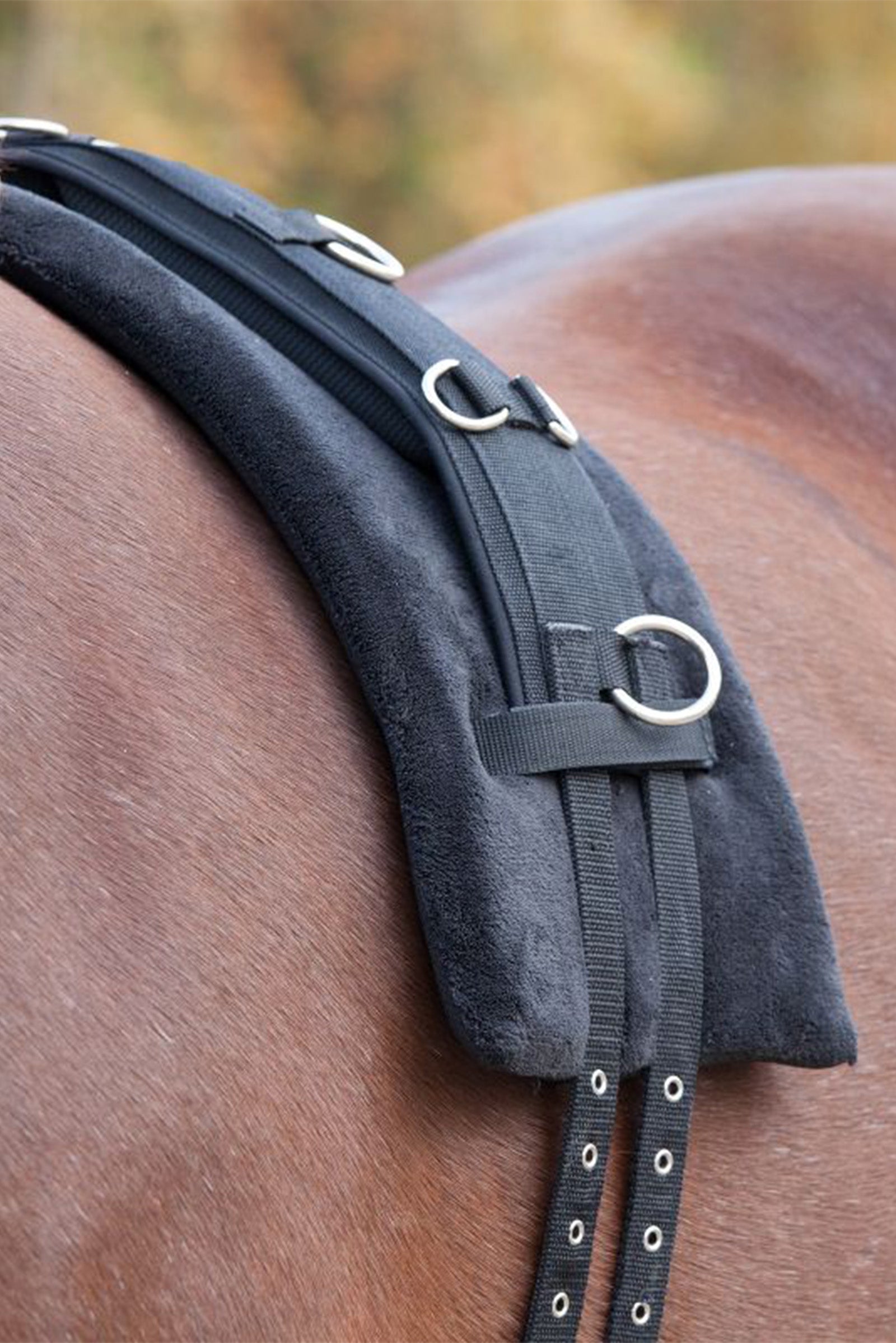 Waldhausen Memory Foam almohadilla para cinch Entrenamiento Caballo