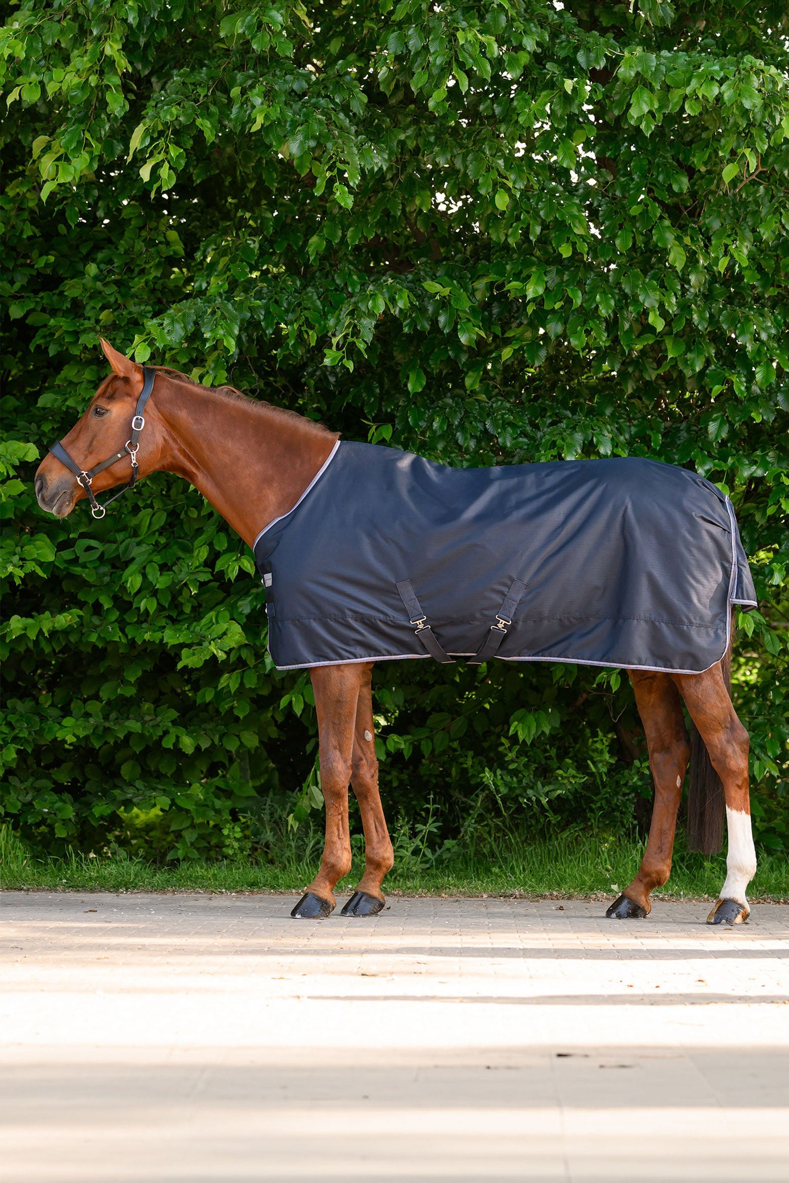 Waldhausen ECONOMIC manta exterior, 200g Mantas Caballo