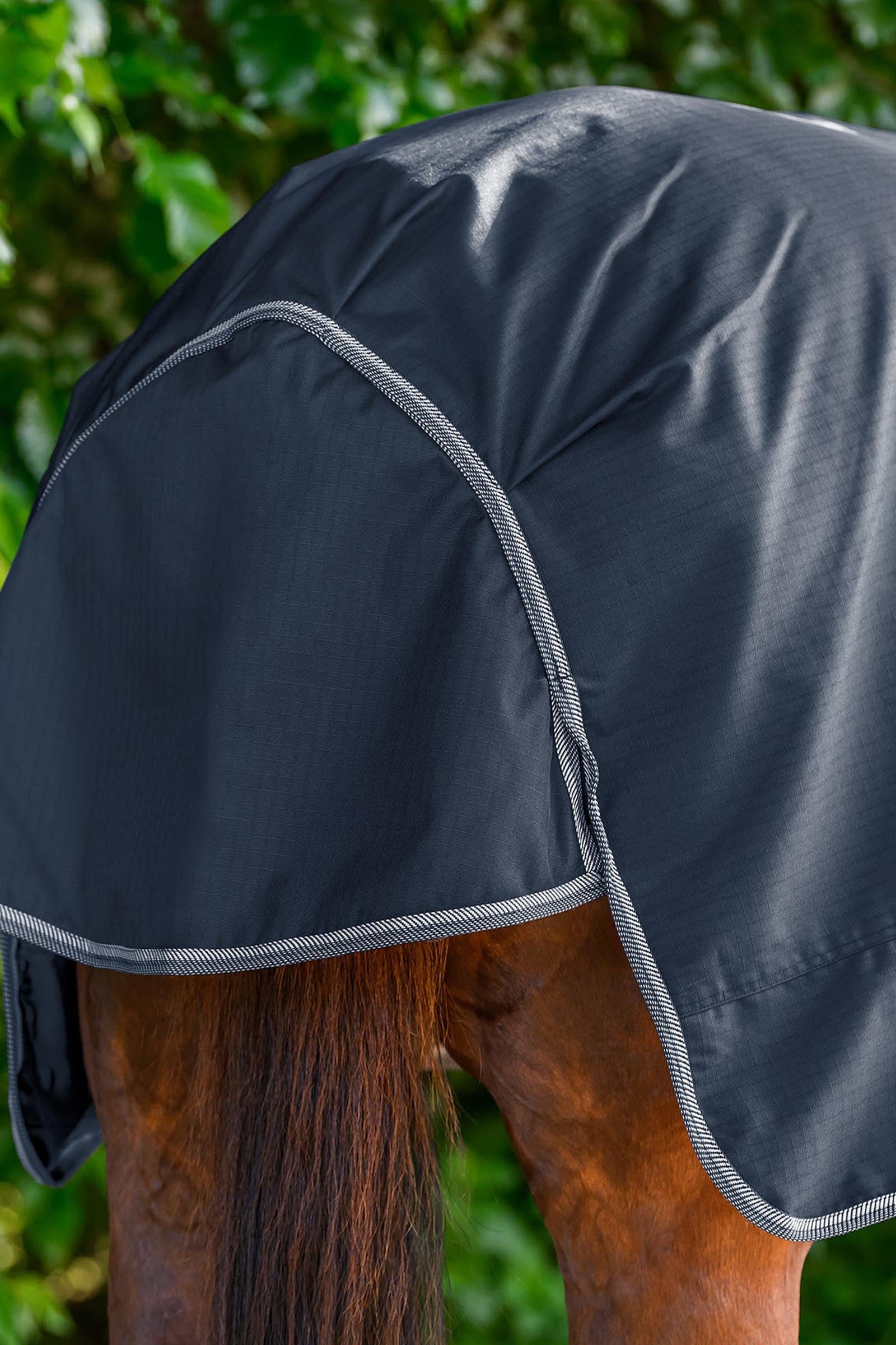 Waldhausen ECONOMIC Outdoor Rug, 200g Horse Rugs