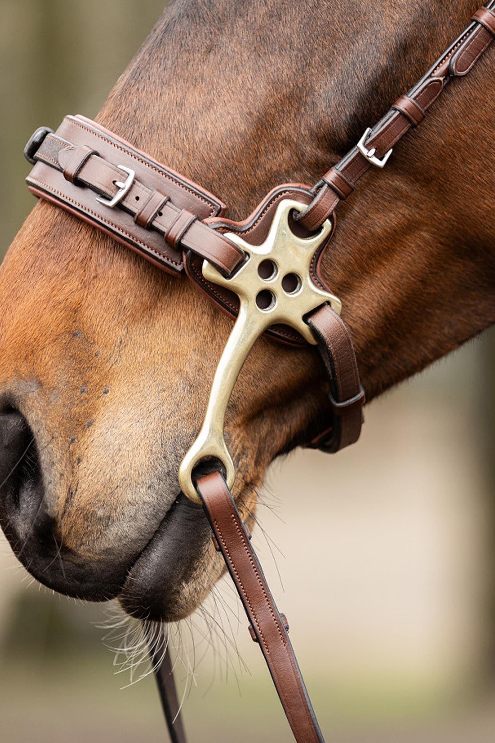 Trust Equestrian Hackamore Noseband with Cheeks 16 Cm Bridles & Reins