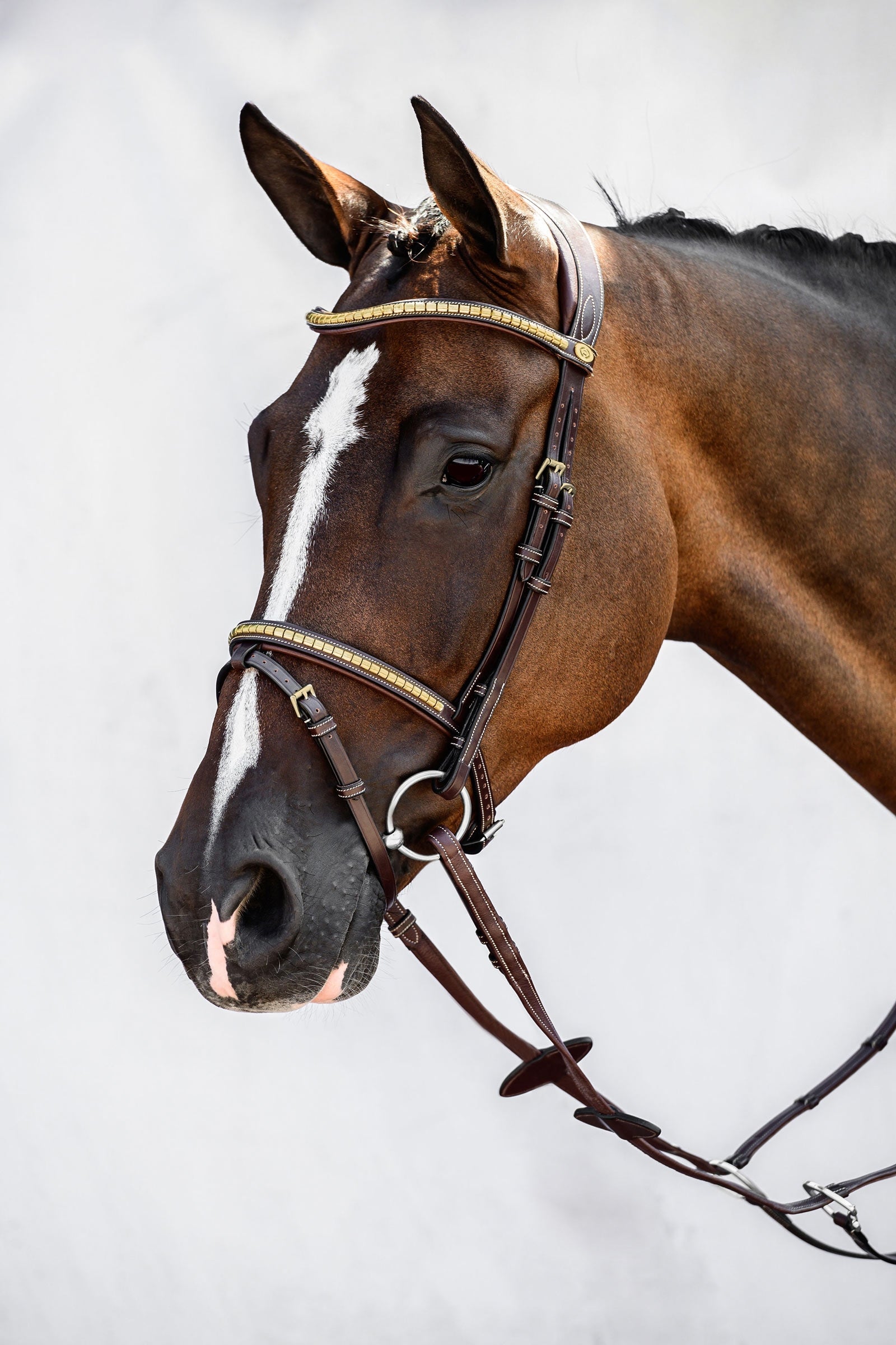 PS of Sweden Antwerp 2.0 Bridle Cabezadas de montar & Riendas