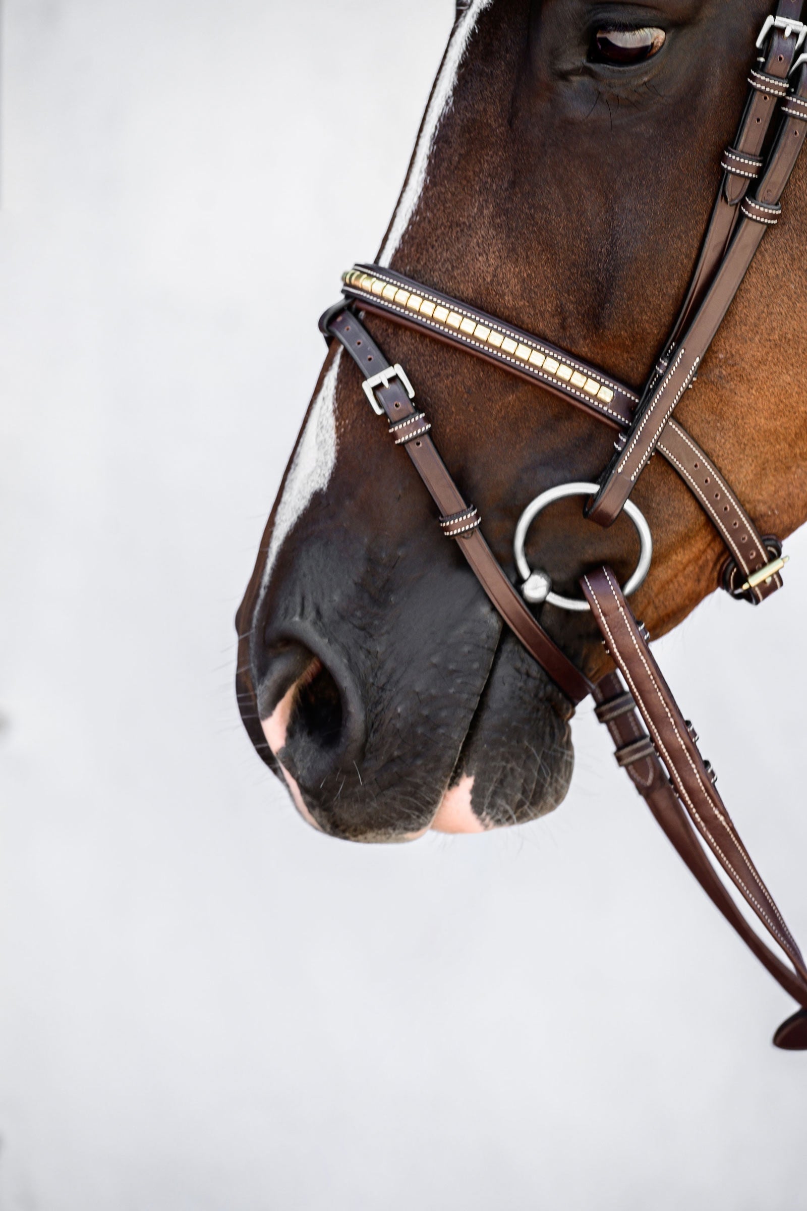 PS of Sweden Antwerp 2.0 Bridle Bridles & Reins