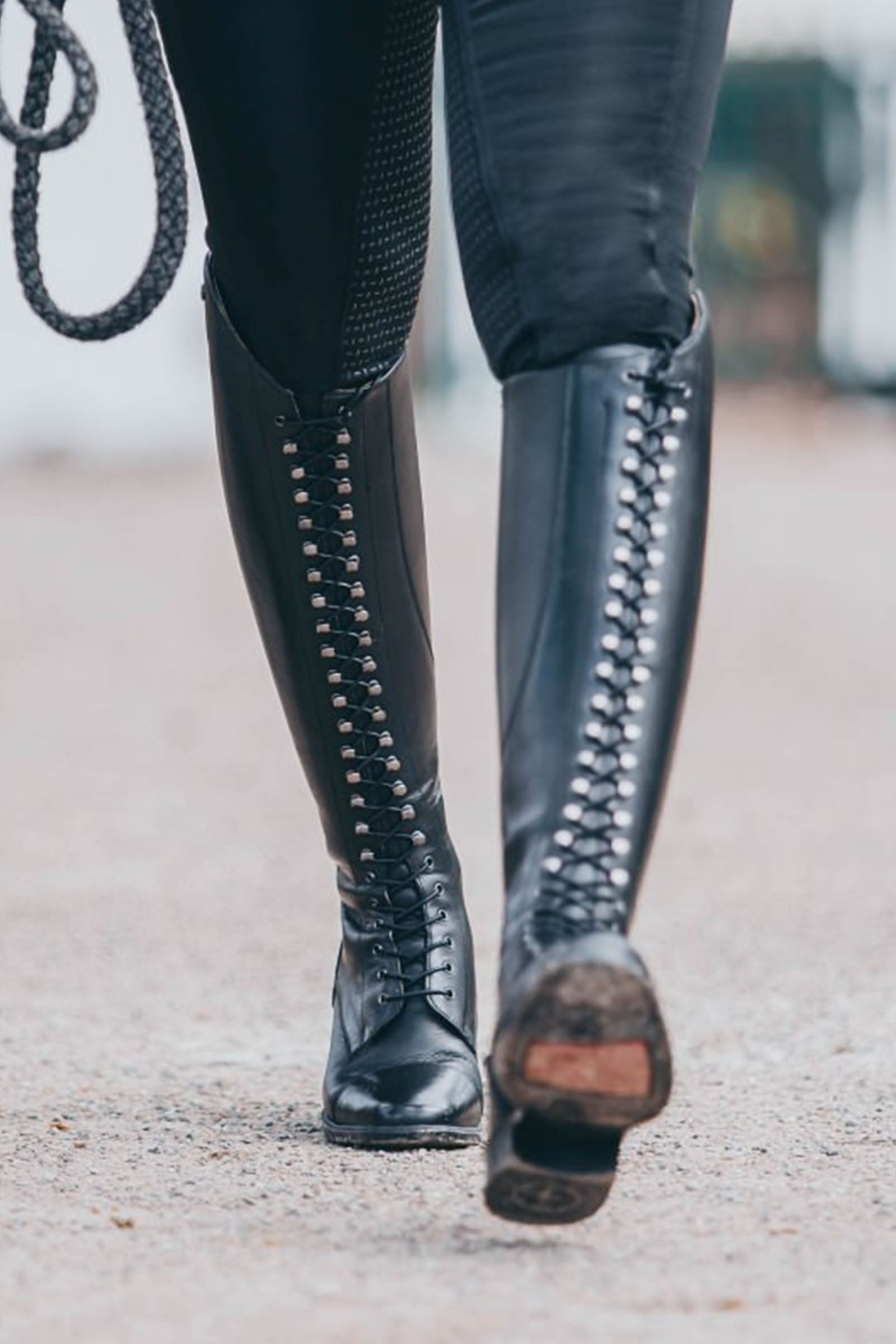 Suedwind Footwear Legacy Venado Lace Tall Riding Boots Riding Boots & Riding Shoes