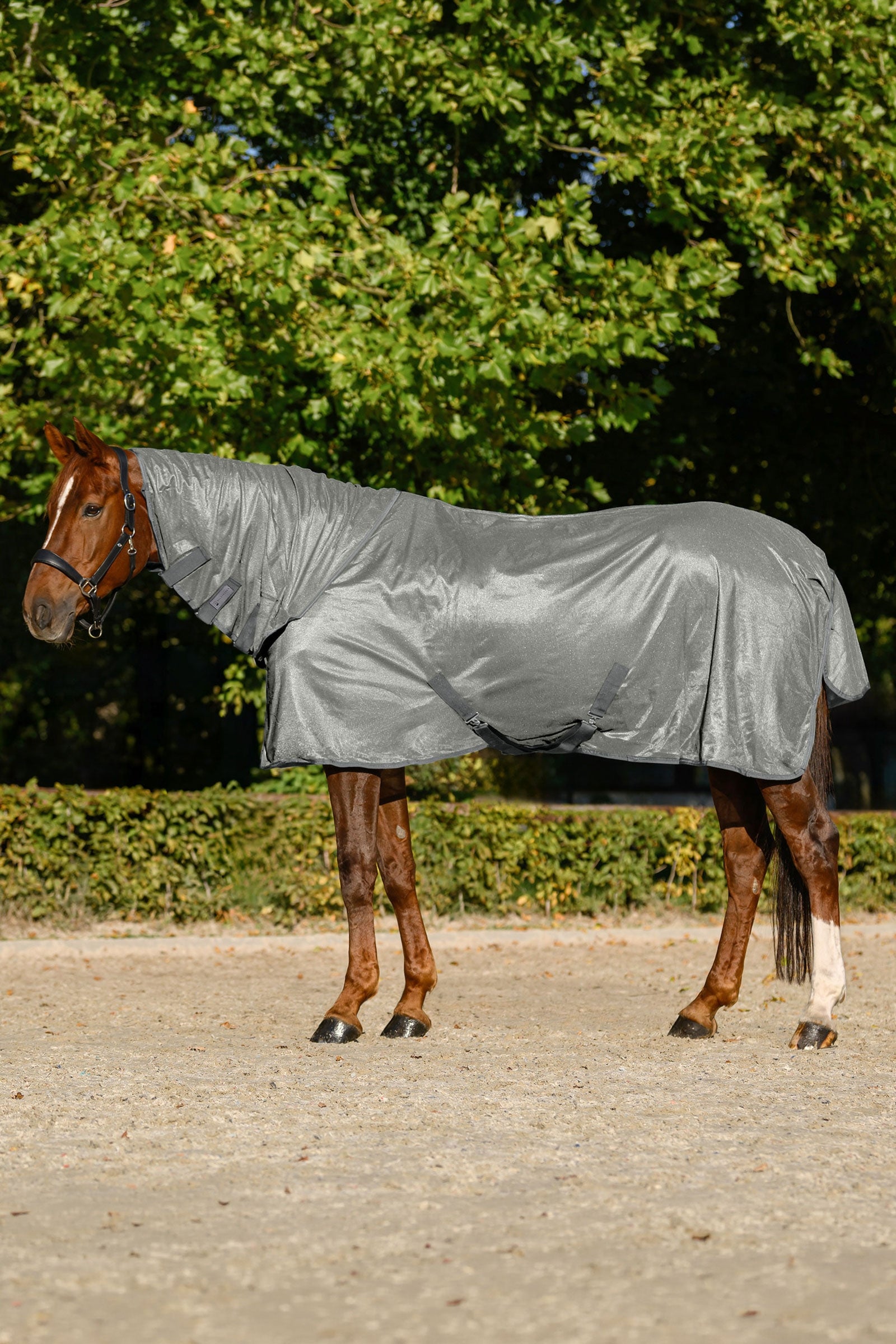 Waldhausen manta antimoscas FlyControl con cuello y protección UV Mantas Caballo