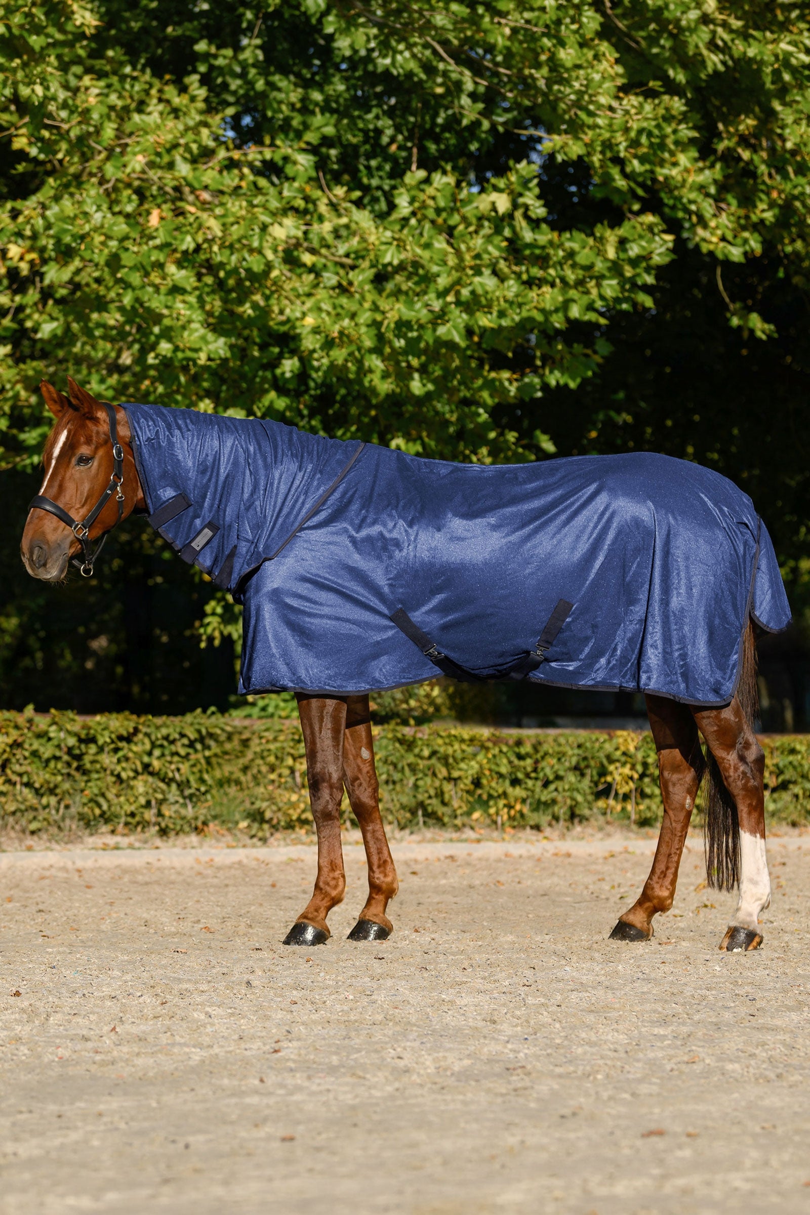 Waldhausen manta antimoscas FlyControl con cuello y protección UV Mantas Caballo