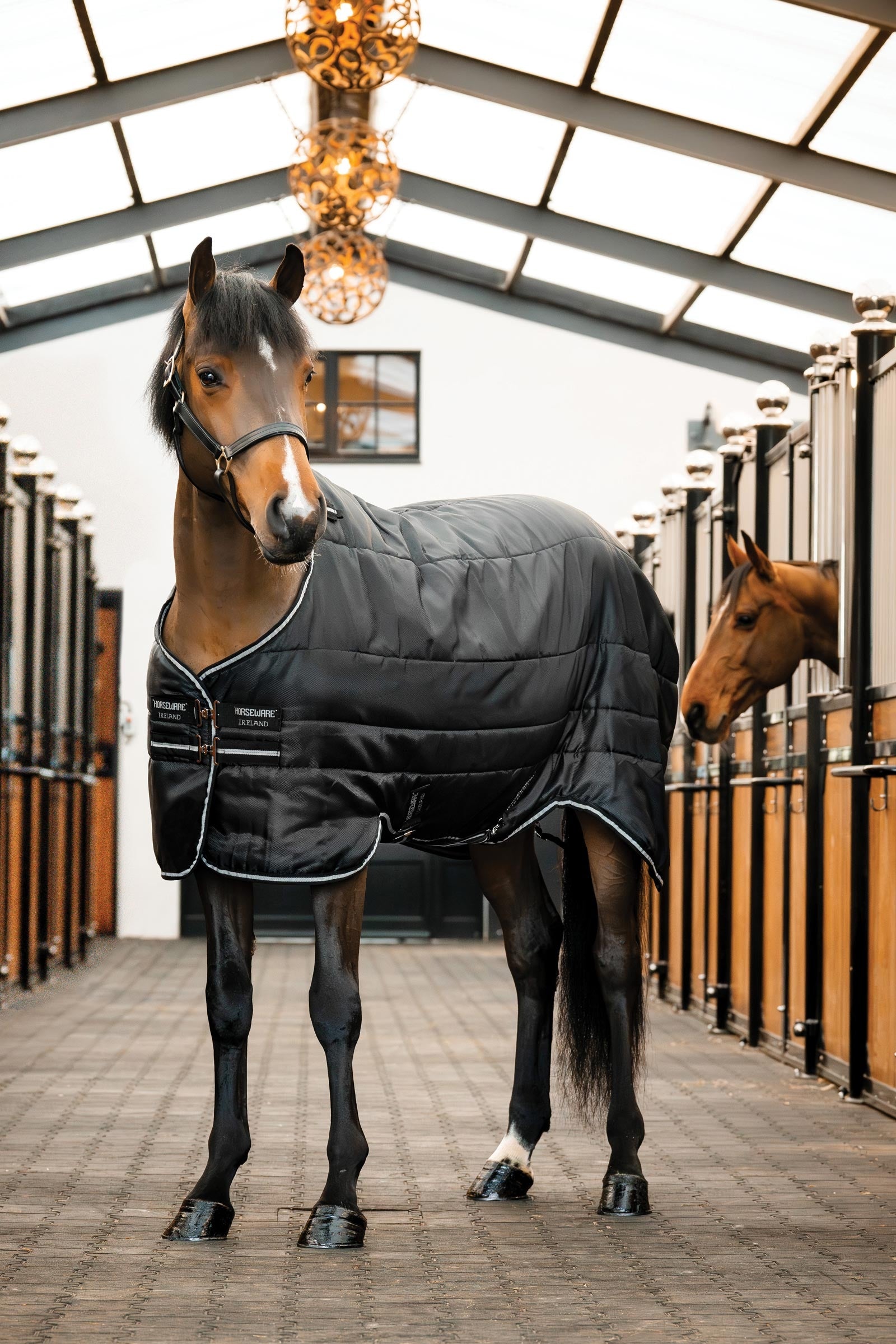 Horseware Easy-Layer manta de establo 100g Mantas Caballo