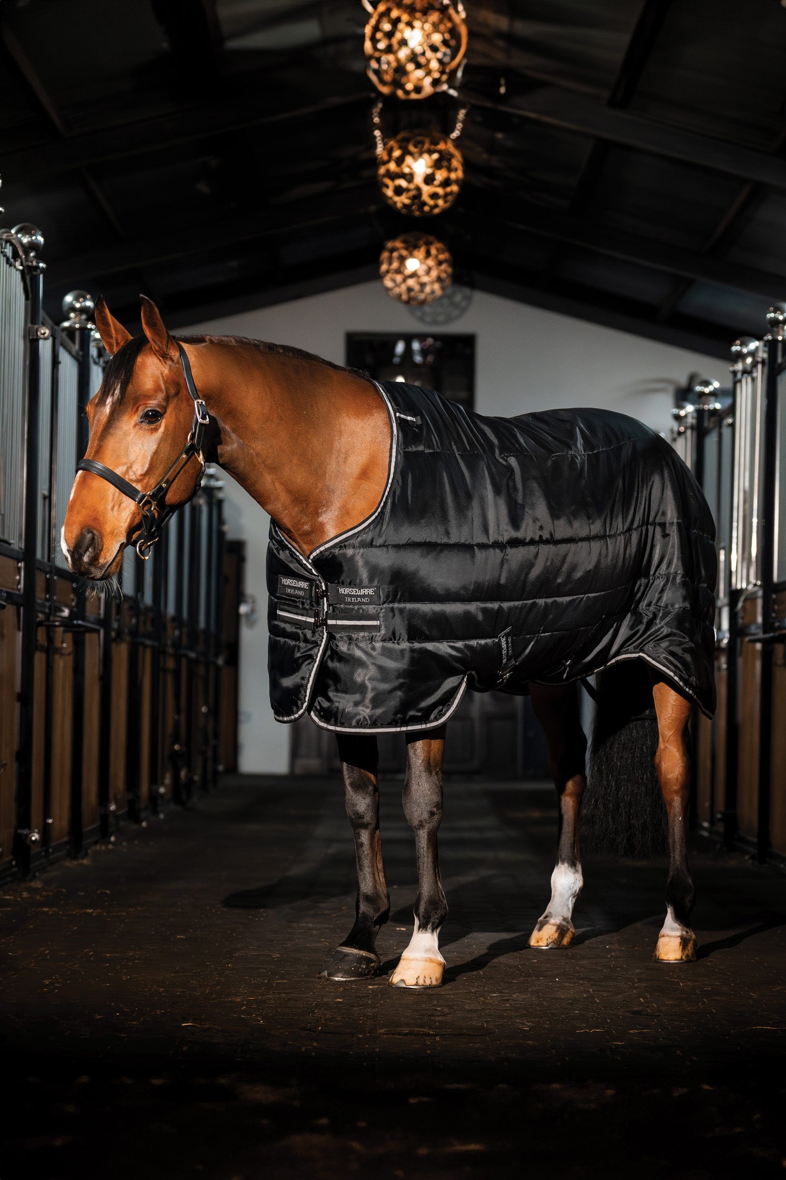 Horseware Easy-Layer Stablerug 100g Horse Rugs