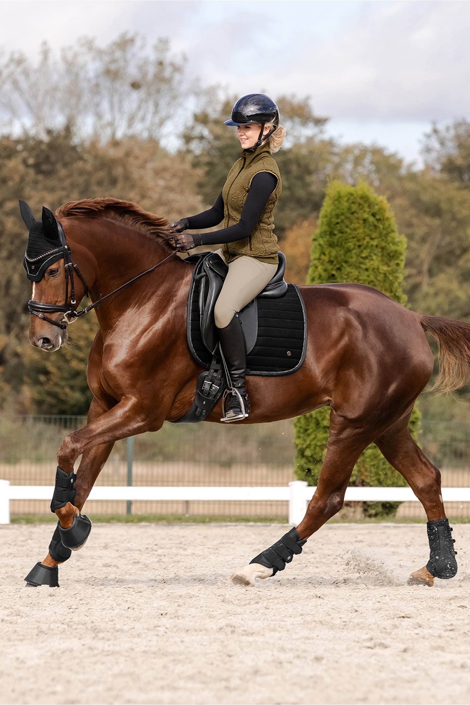 Waldhausen St. Gallen All Purpose Saddle Pad Saddle Pads