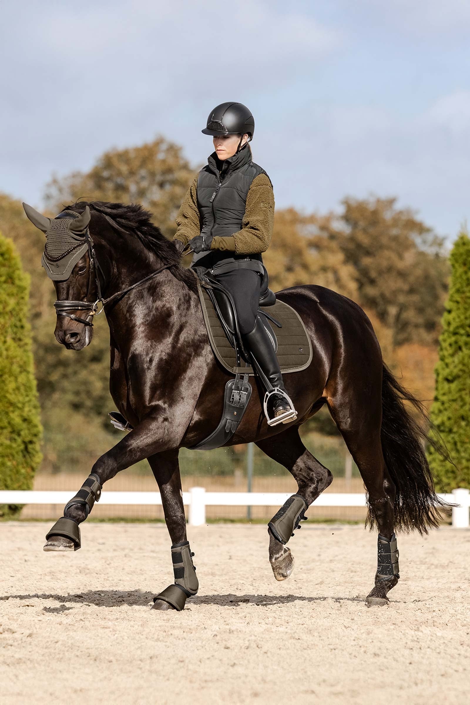 Waldhausen St. Gallen All Purpose Saddle Pad Mantillas