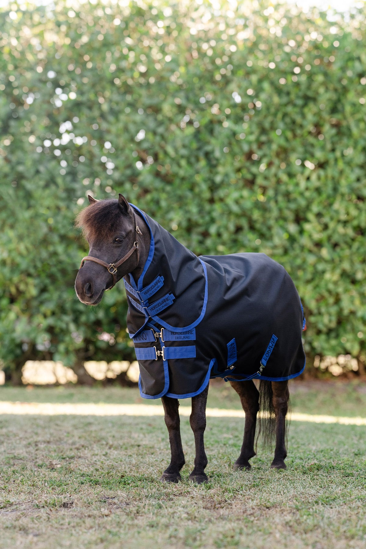 Horseware Amigo Ripstop 900D Plus Petite manta de exterior con cubrenuca desmontable, 0 g Mantas Caballo