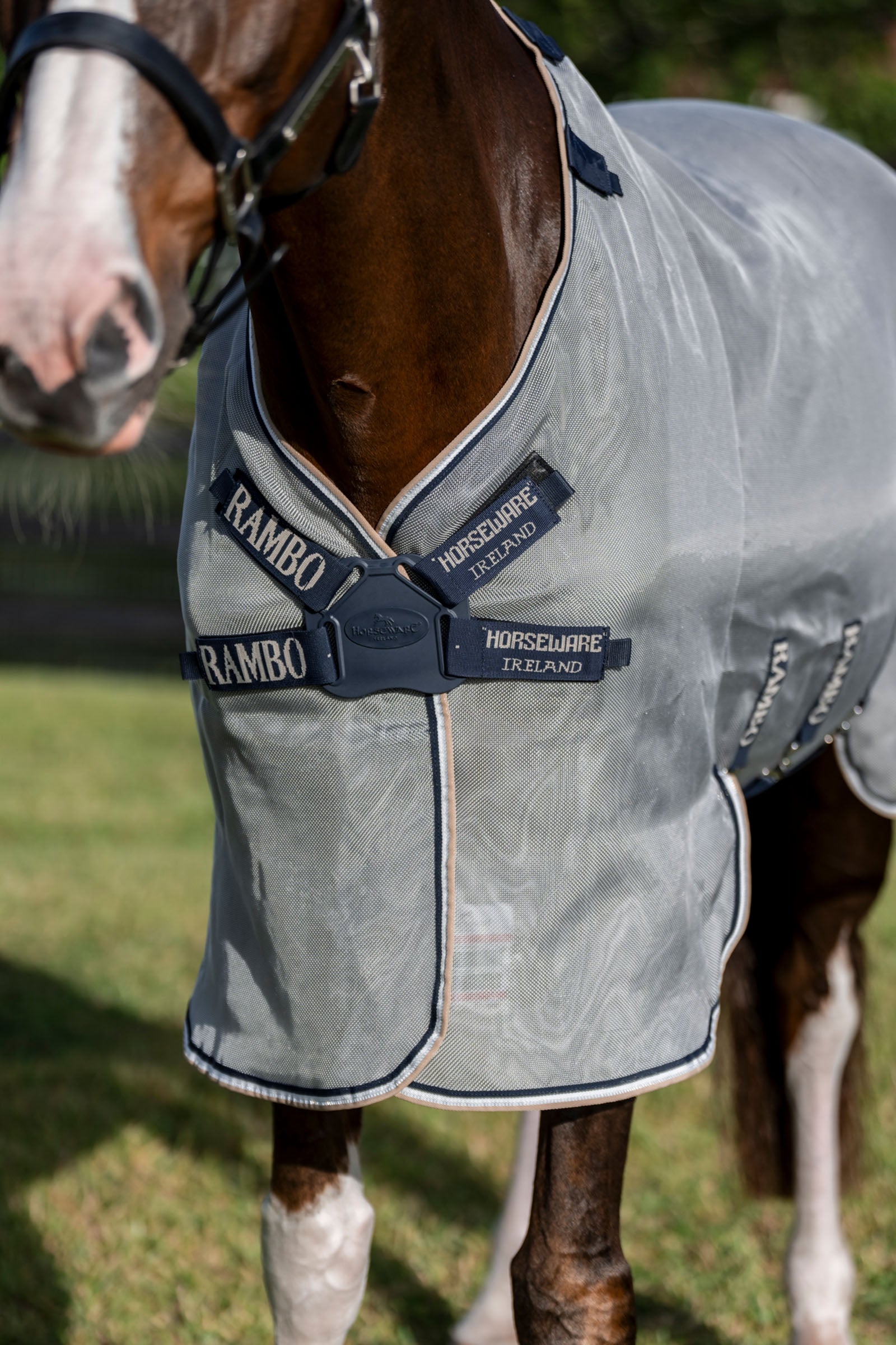 Horseware Rambo Protector Fieldsafe Plus Rug Horse Rugs