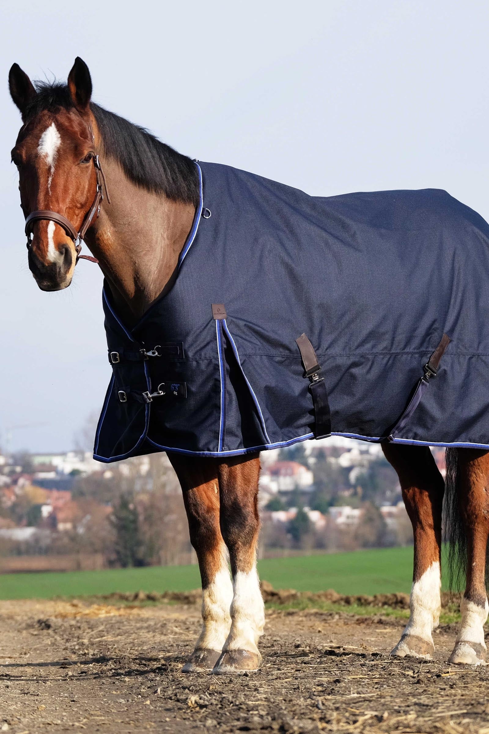 EQUITHÈME Classic 1200D manta de exterior, 200 g Mantas Caballo