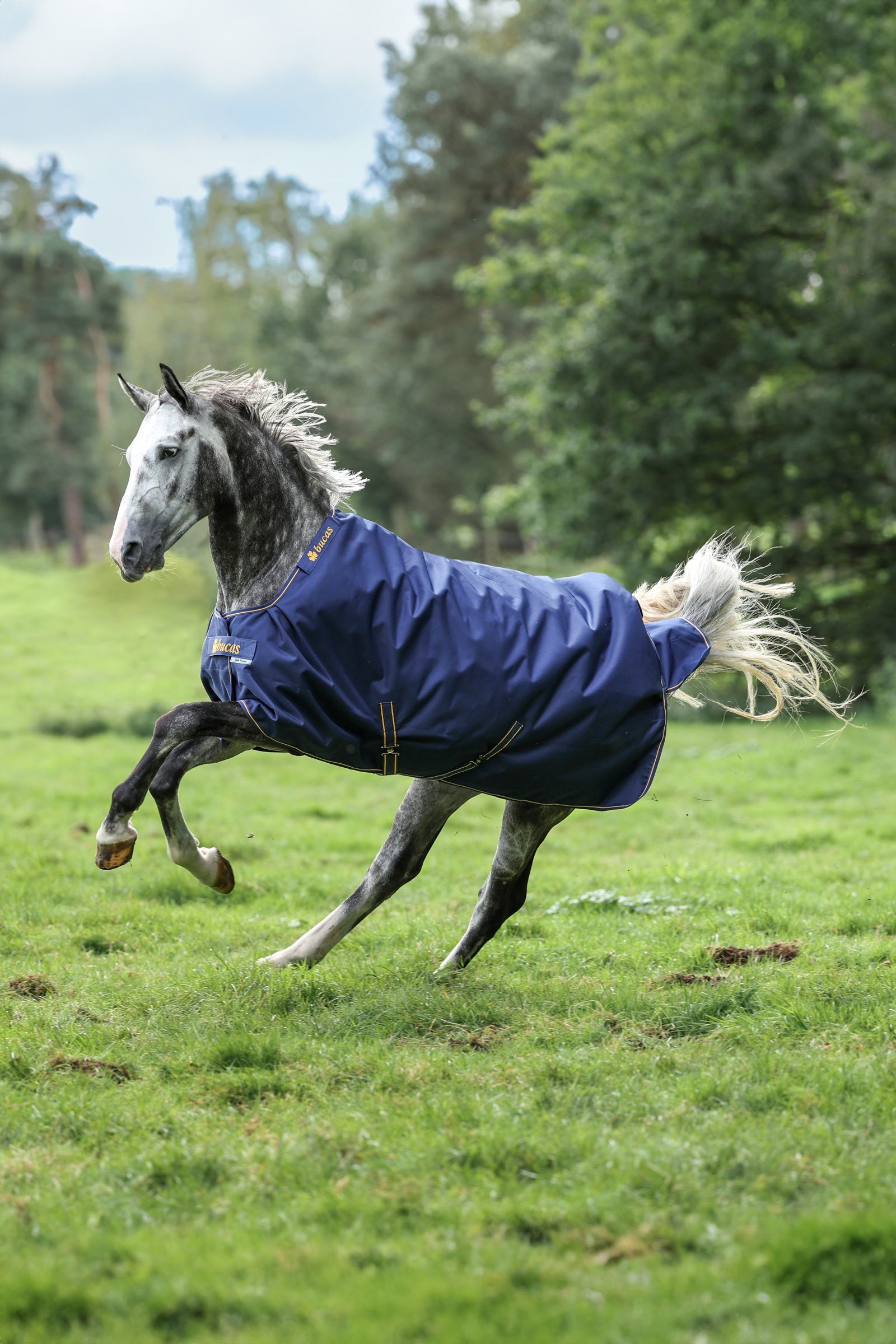 Bucas Irish manta de exterior, 150g Mantas Caballo