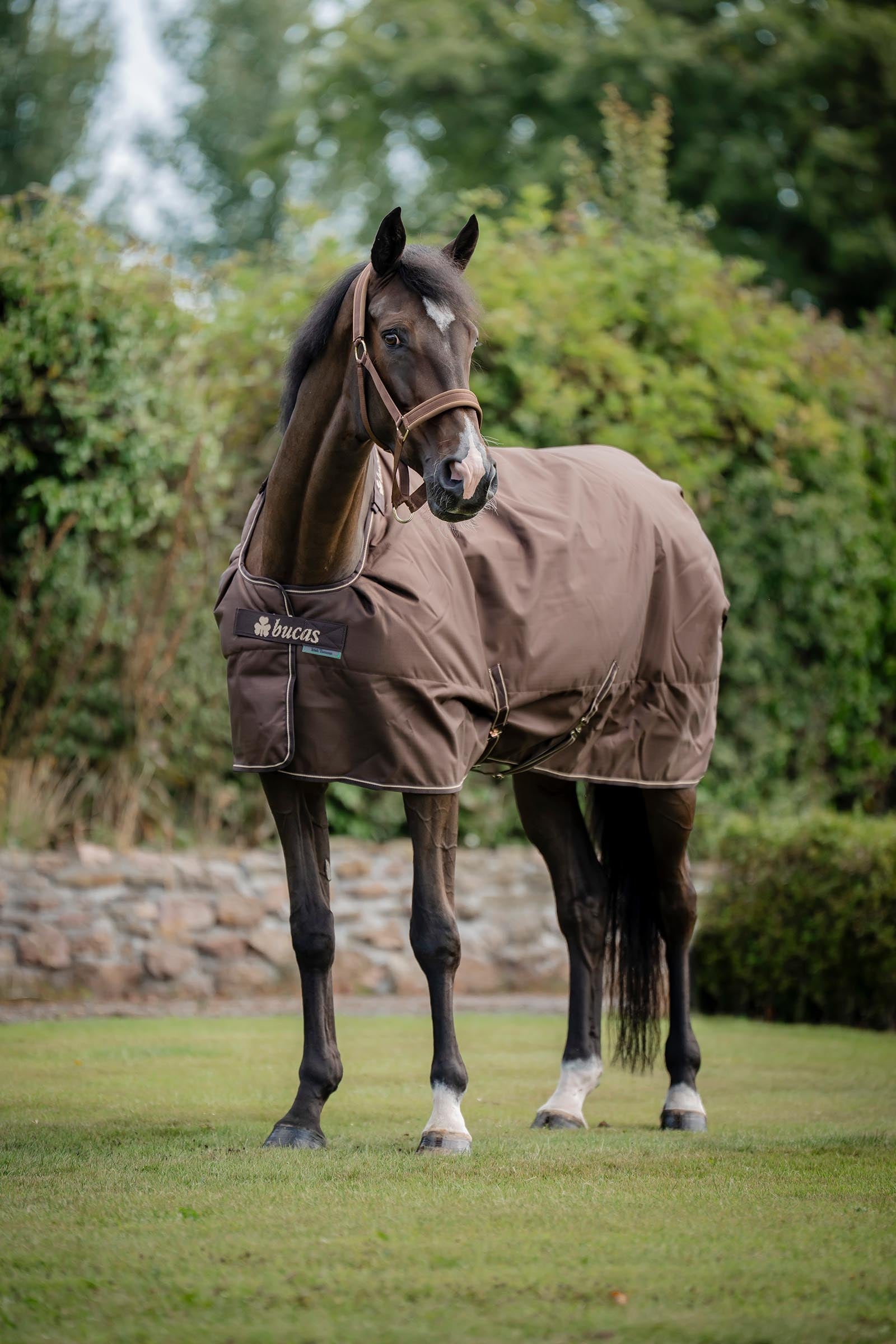 Bucas Irish Turnout Rug, 150g Horse Rugs