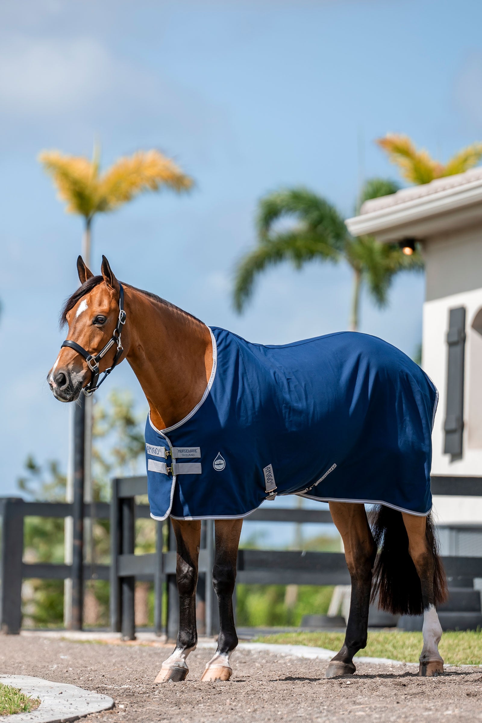 Horseware Amigo Manta de Cuadra, 0g Mantas Caballo