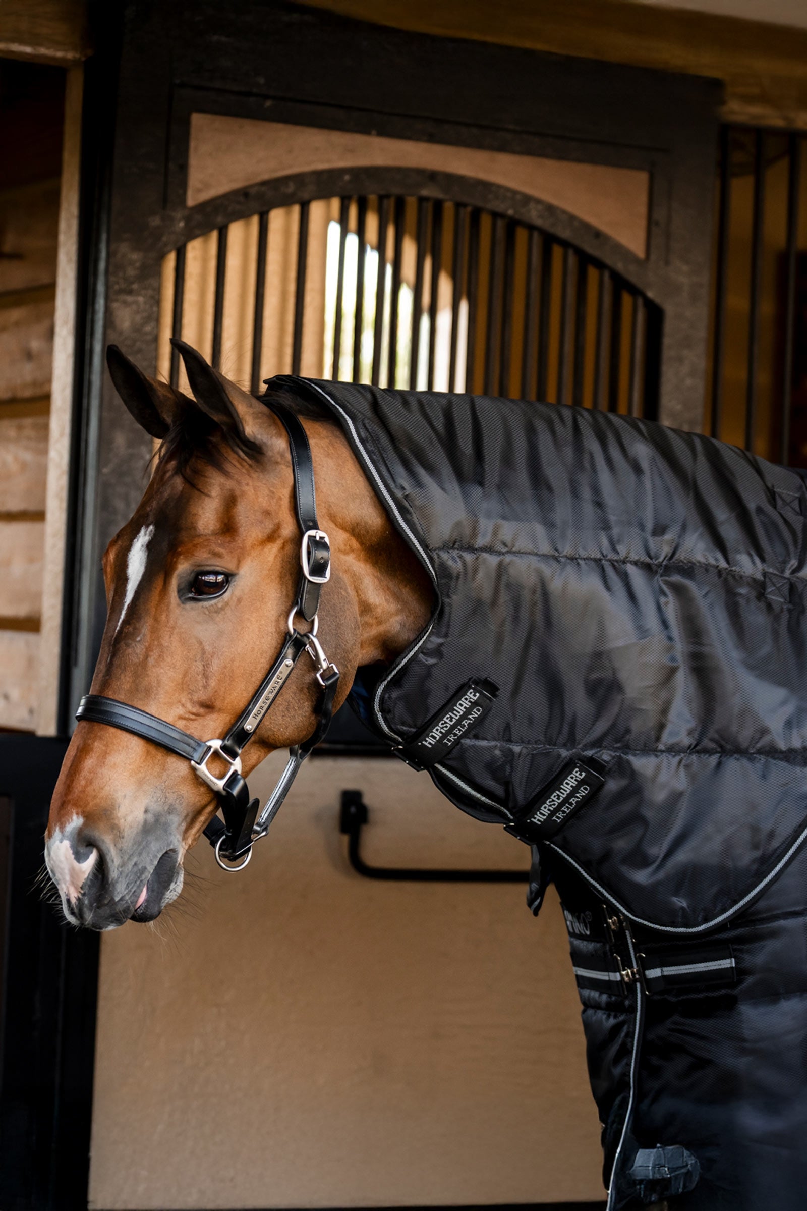 Horseware Amigo Ripstop Insulator Plus manta de cuadra, 200 g Mantas Caballo