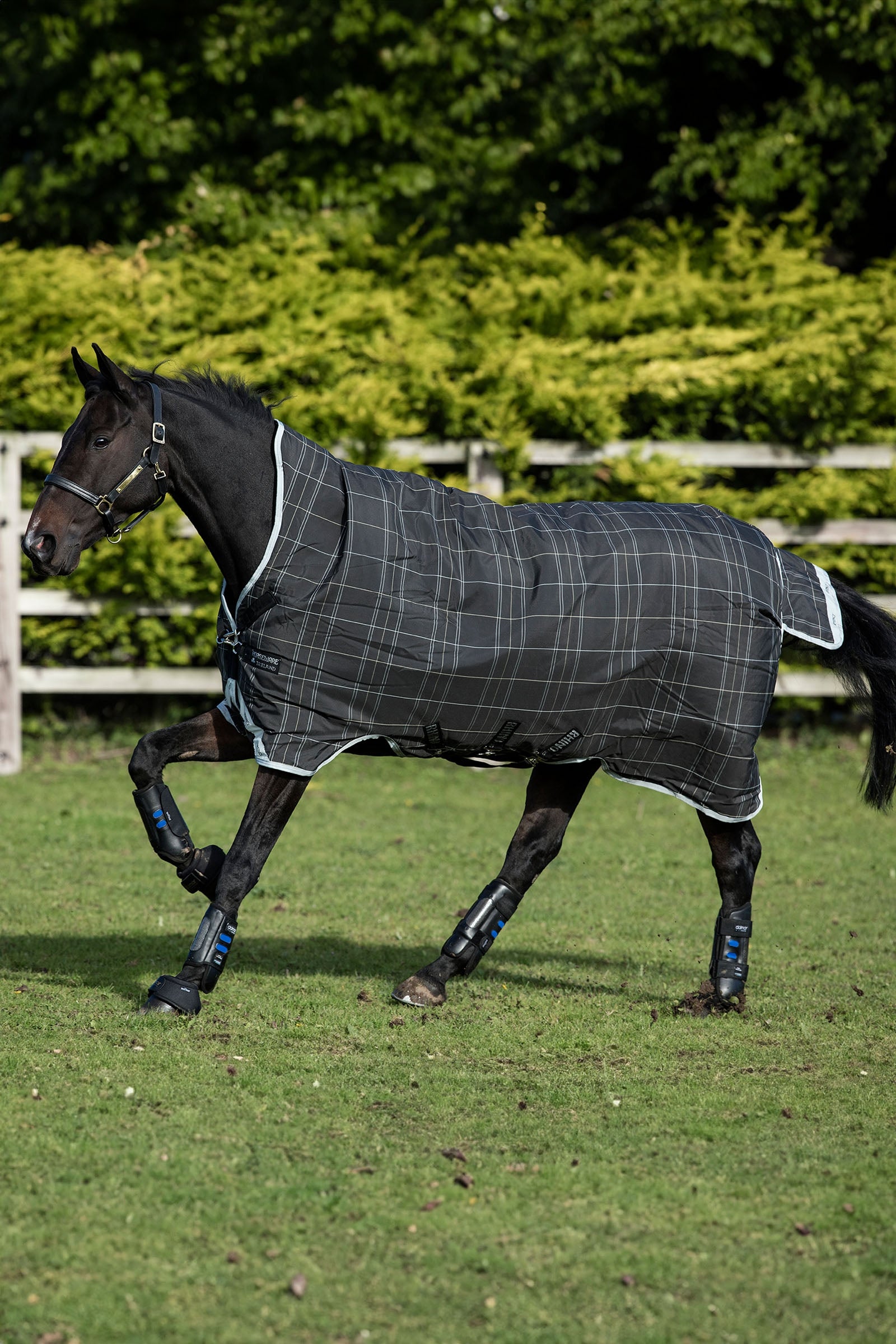 Horseware Rhino Wug manta de exterior, 100 g Mantas Caballo