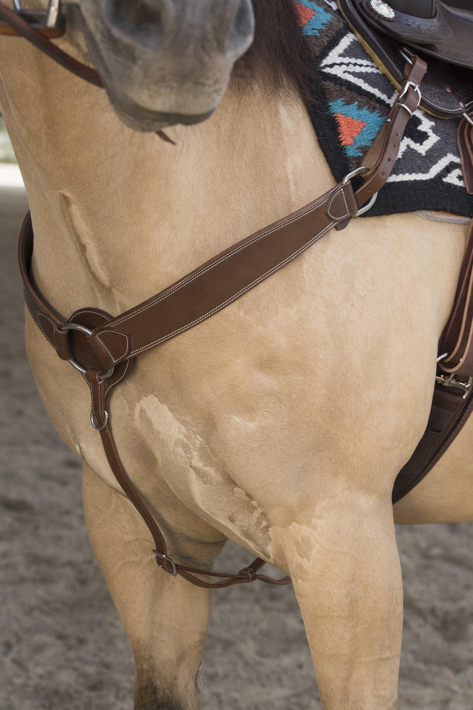 WESTRIDE Billy pechopetral by Franck Perret Cabezadas de montar & Riendas