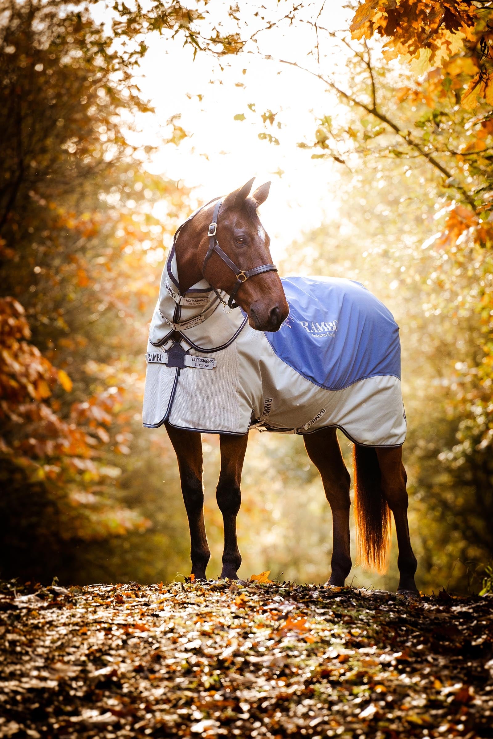 Horseware Rambo Autumn Series Turnout Rug With Liner (0g / 100g) Horse Rugs