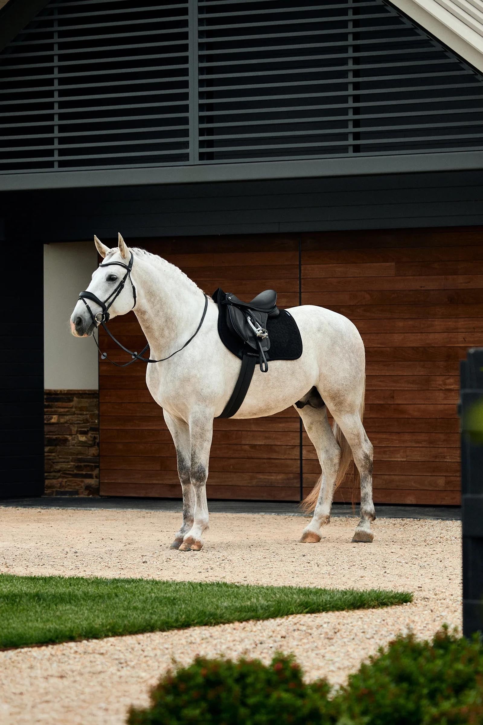 Weatherbeeta Suede Elite Air-Tec All Purpose Saddle Pad Saddle Pads