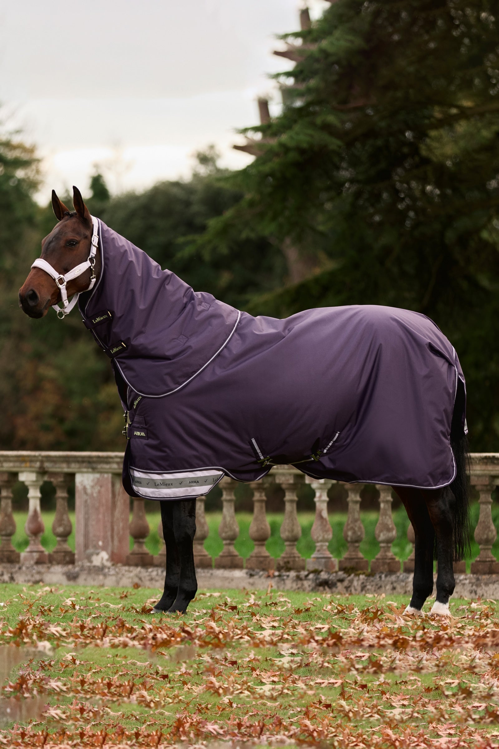 LeMieux Arika Ripstop Turnout Rug With Detachable Neck, 0 g Mantas Caballo