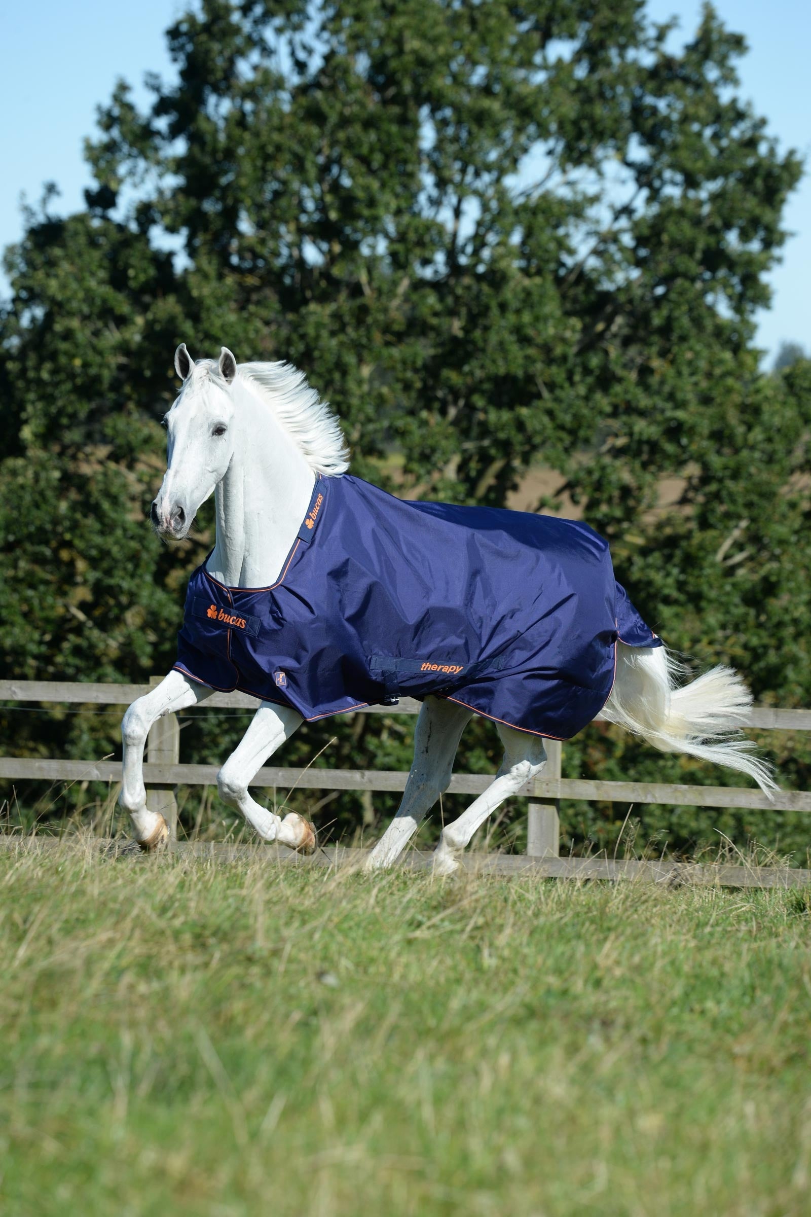 Bucas Therapy Turnout Rug Light, 50g Horse Rugs