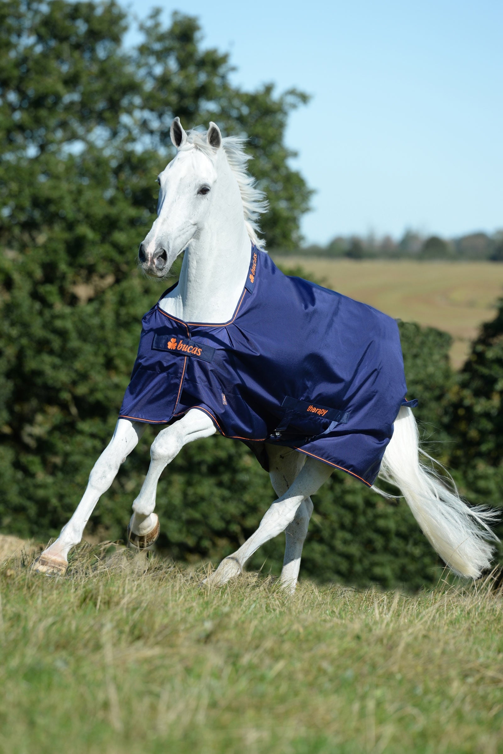 Bucas Therapy Turnout Rug Light, 50g Horse Rugs