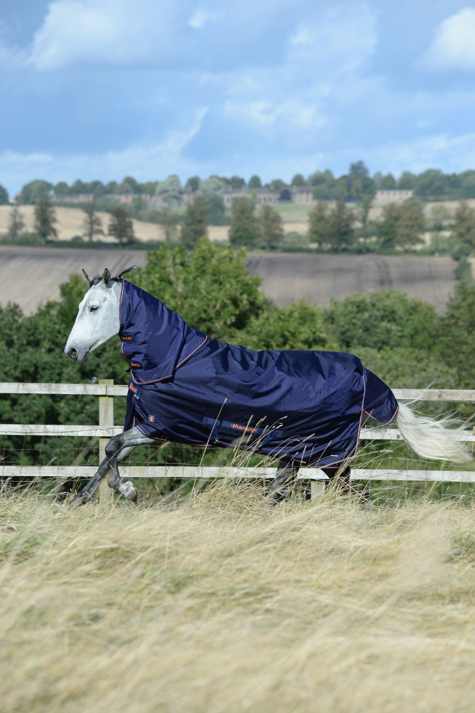 Bucas Therapy Turnout Rug Light, 50g Horse Rugs