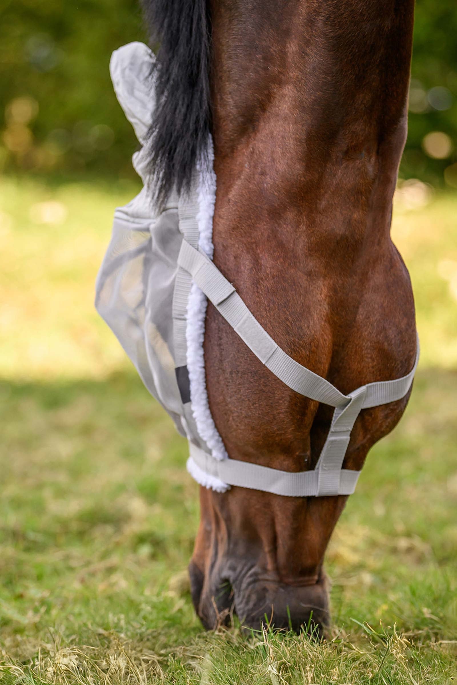 Waldhausen Grazing Halter With Fly Mask Antifly Protection for Horses