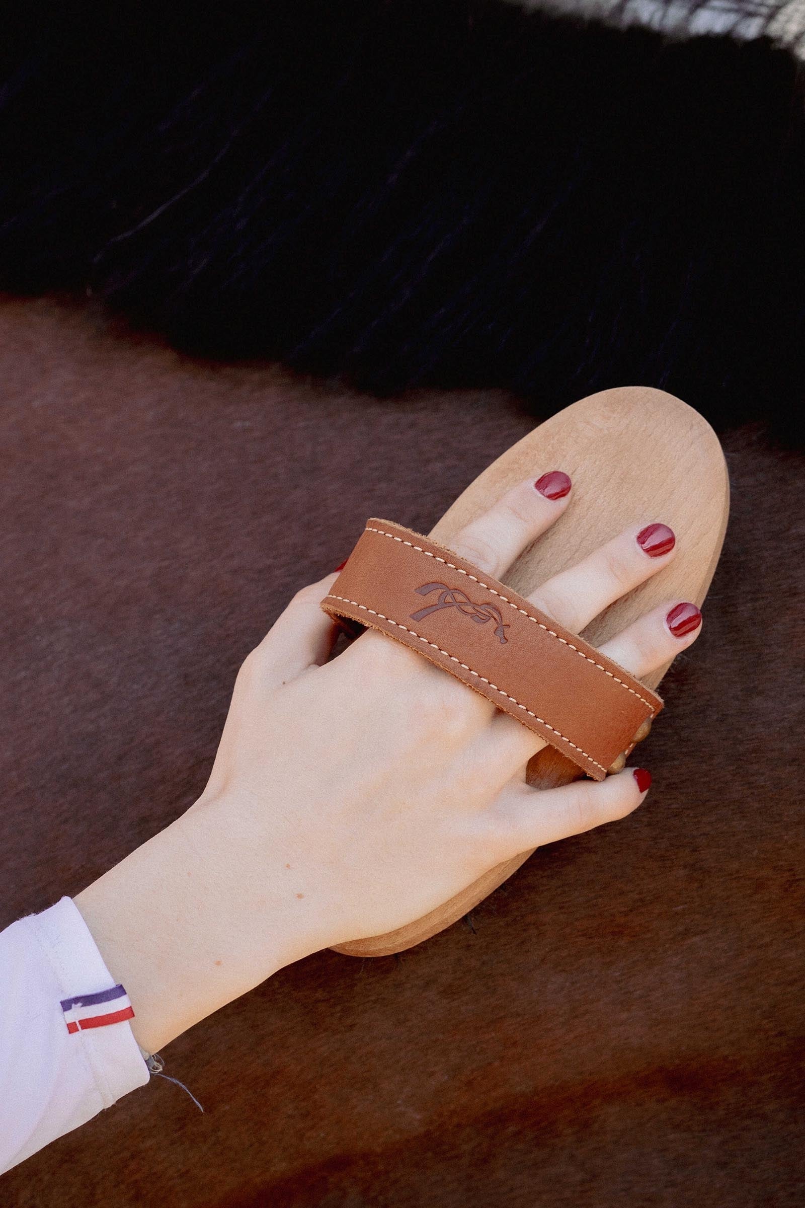 PENELOPE Dandy Brush, Large Horse Grooming Tools