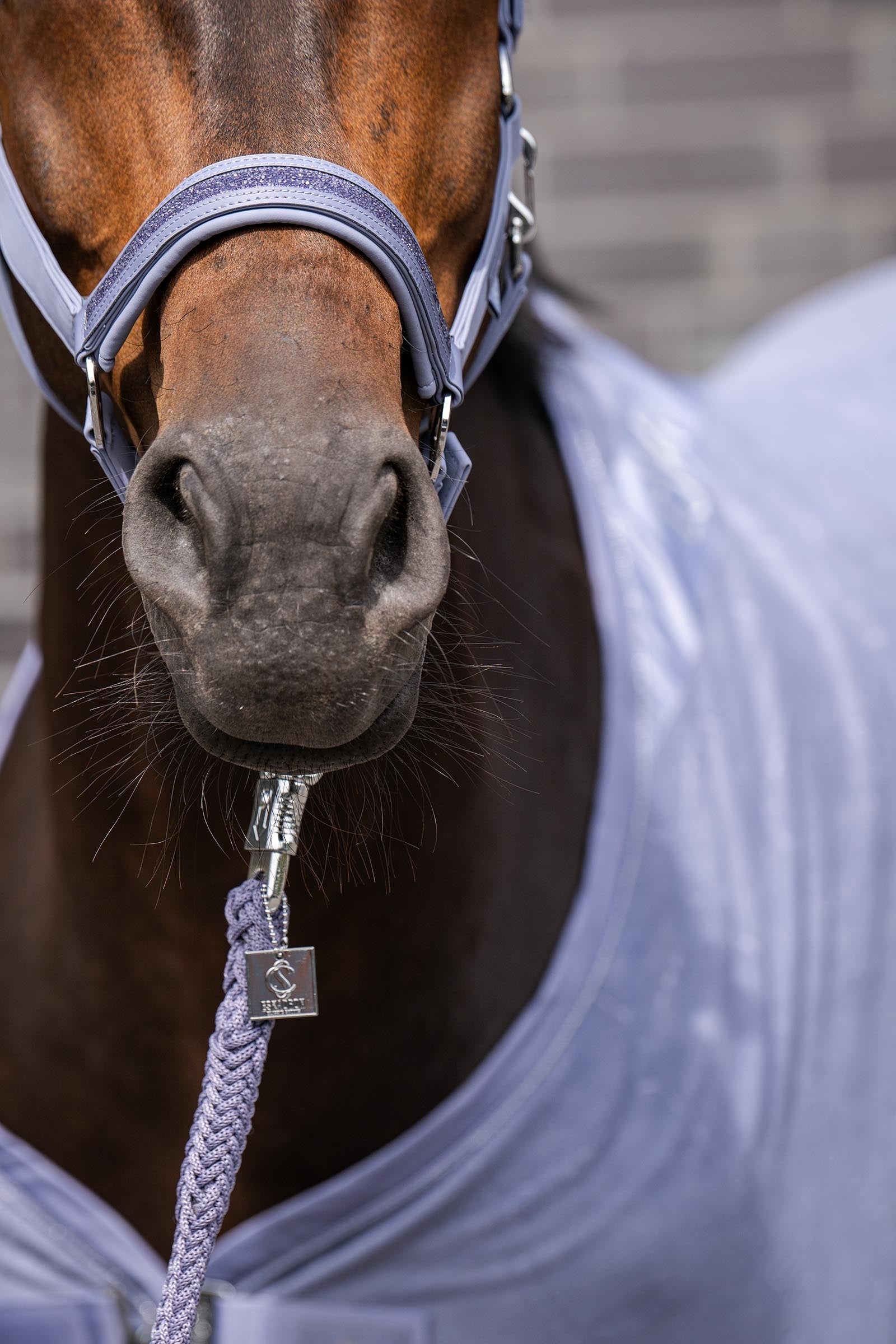 Eskadron Classic Sport SS26 Softshell Jewel Double Pin Headcollar Halters & Leads