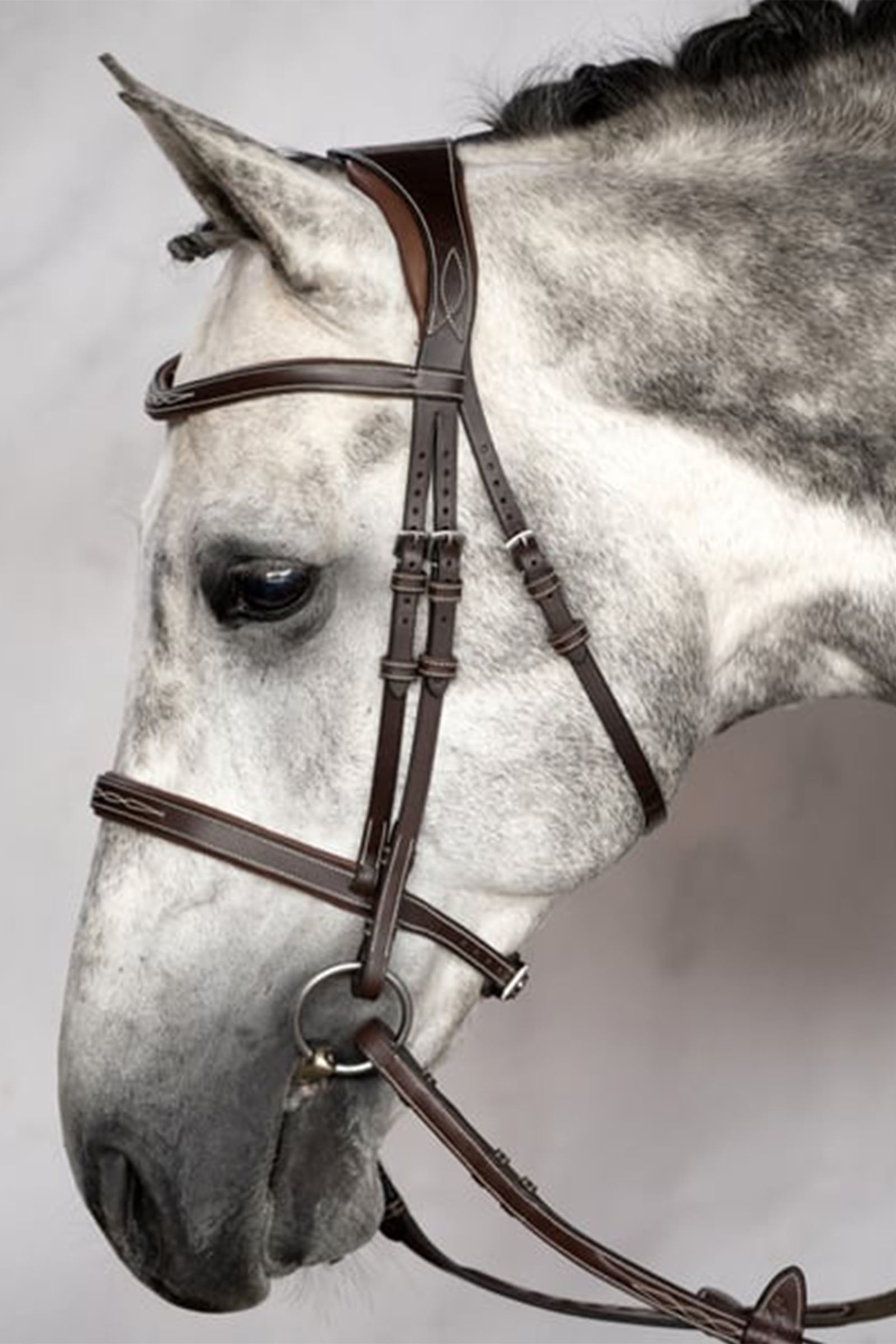 PS of Sweden Bridle Ocala Bridles & Reins