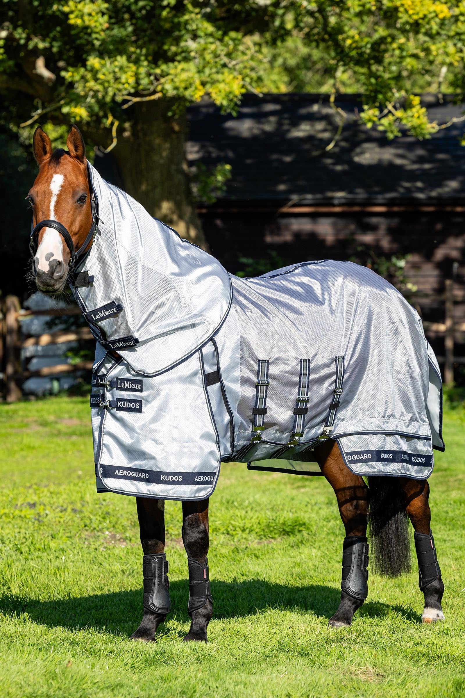 LeMieux Kudos AeroGuard manta antimoscas con cuello desmontable Mantas Caballo