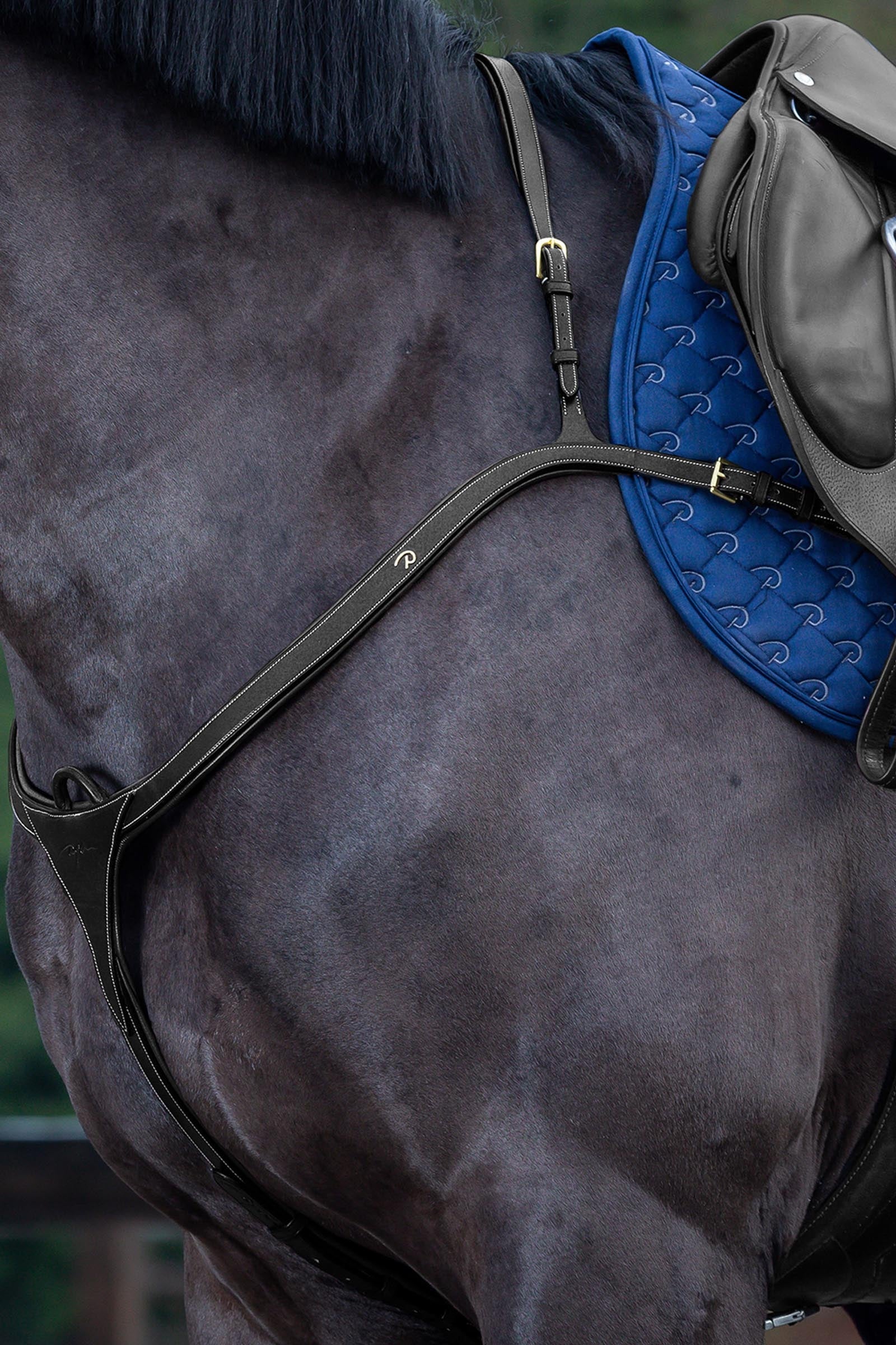 Dy'on D Collection Long Bridge Breastplate Bridles & Reins