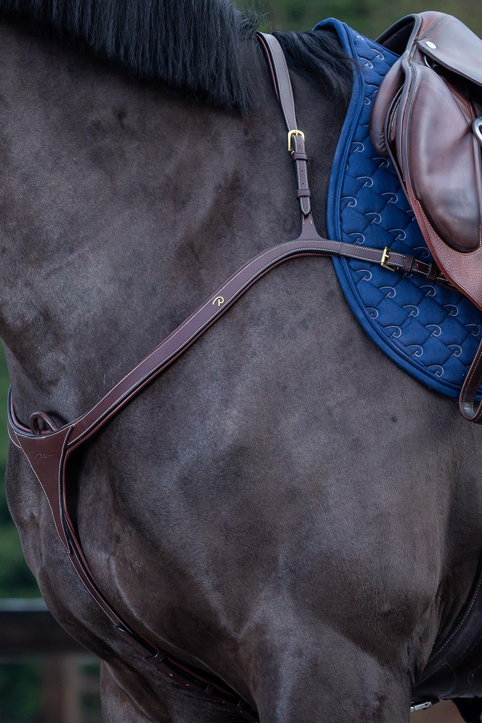 Dy'on D Collection Long Bridge Breastplate Bridles & Reins