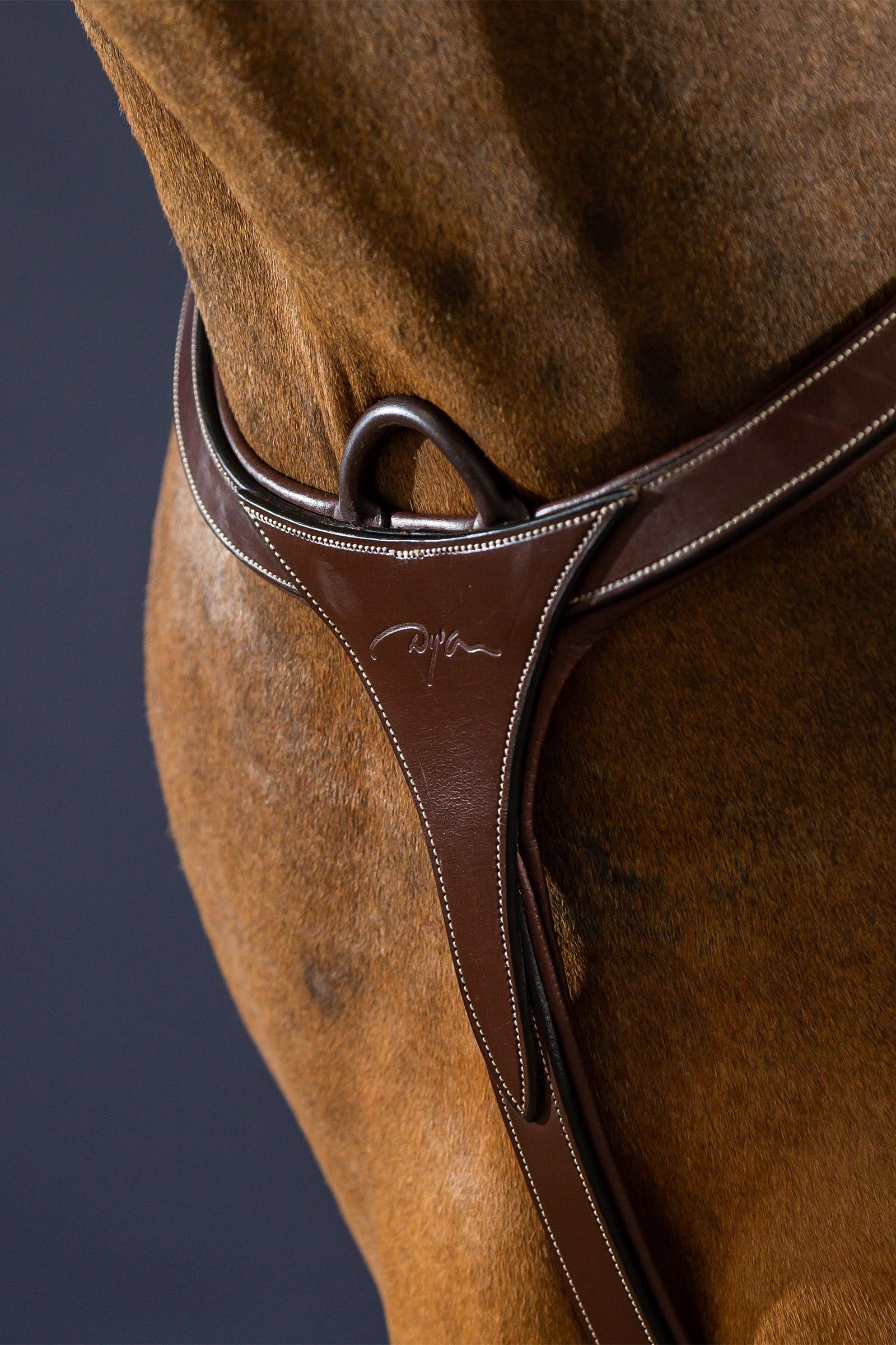 Dy'on D Collection Long Bridge Breastplate Bridles & Reins