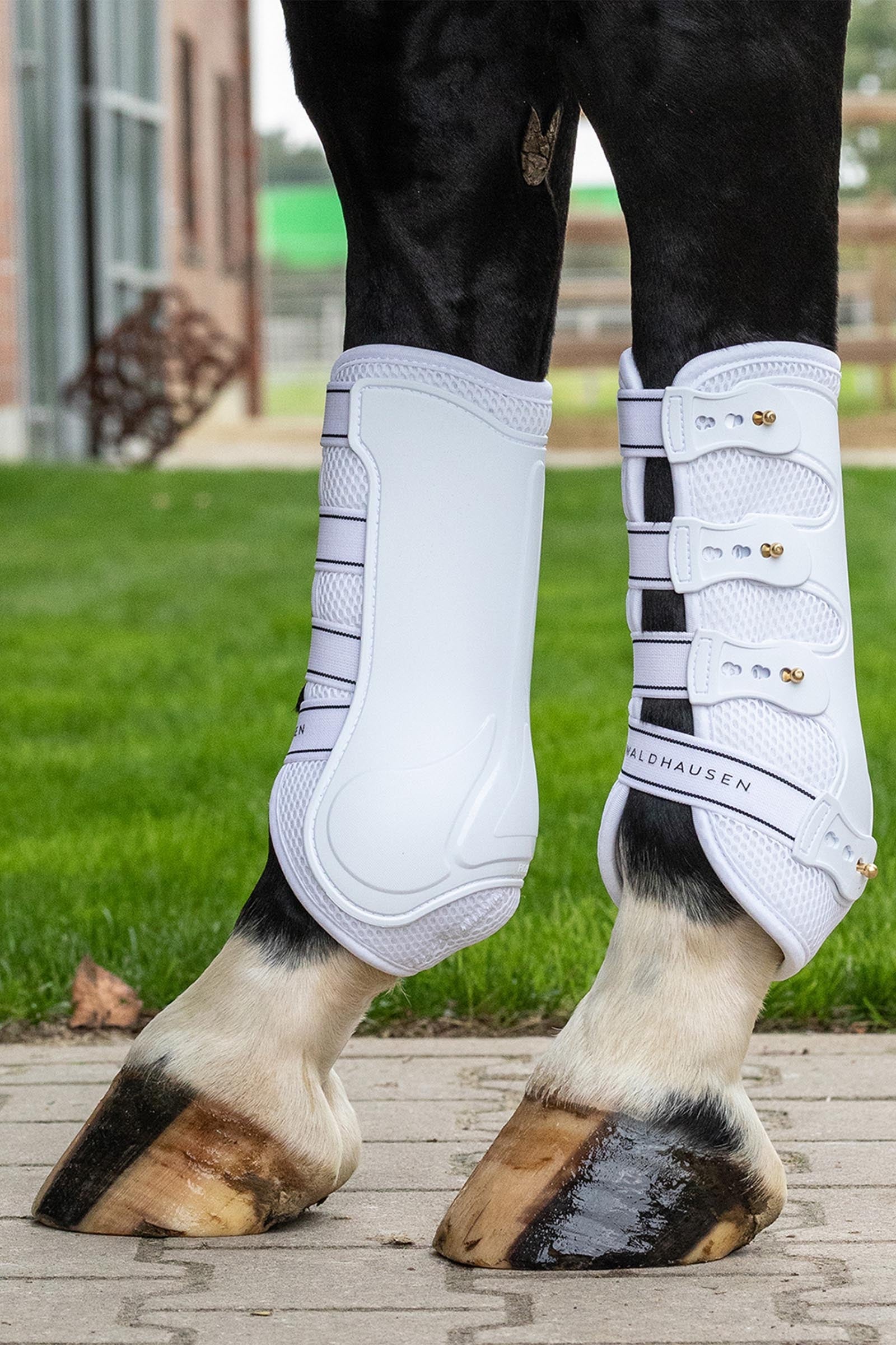 Waldhausen Breath Tendon Boots (Pair) Leg & Hoof Protection