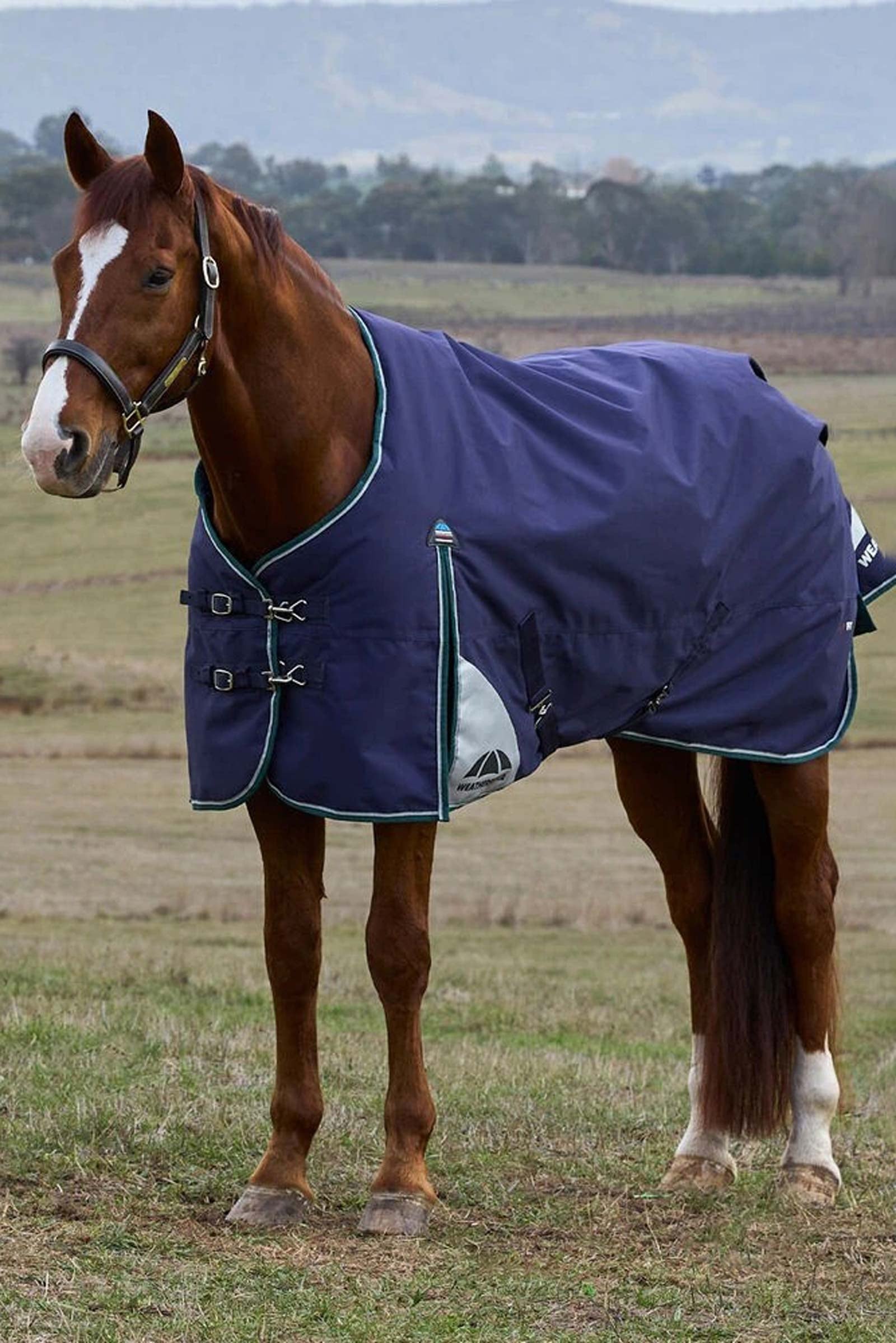 Weatherbeeta ComFiTecPlus Dynamic Turnout Standard Neck 0G Mantas Caballo