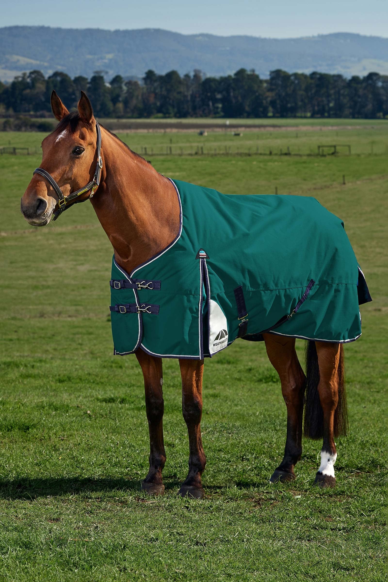 Weatherbeeta ComFiTecPlus Dynamic Turnout Standard Neck 0G Horse Rugs