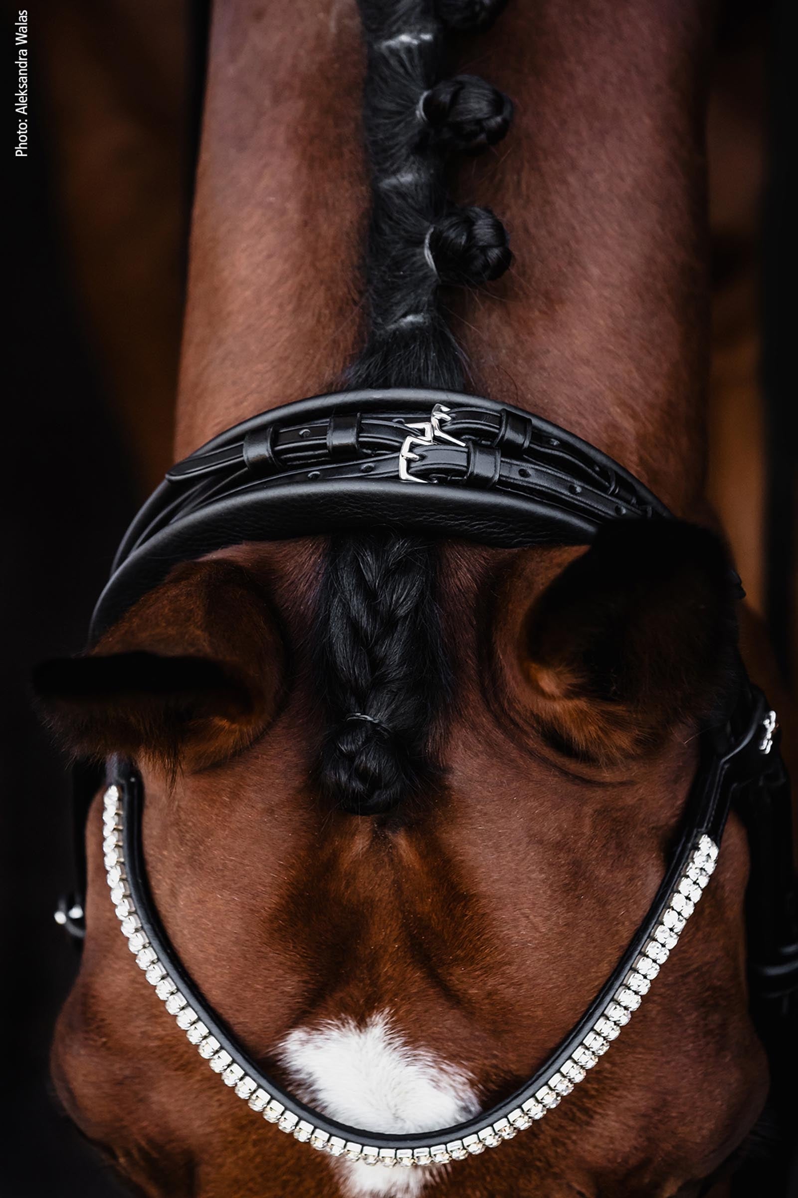 Schockemöhle Sports Bella Rose Double Bridle - Isabell Werth Collection Bridles & Reins
