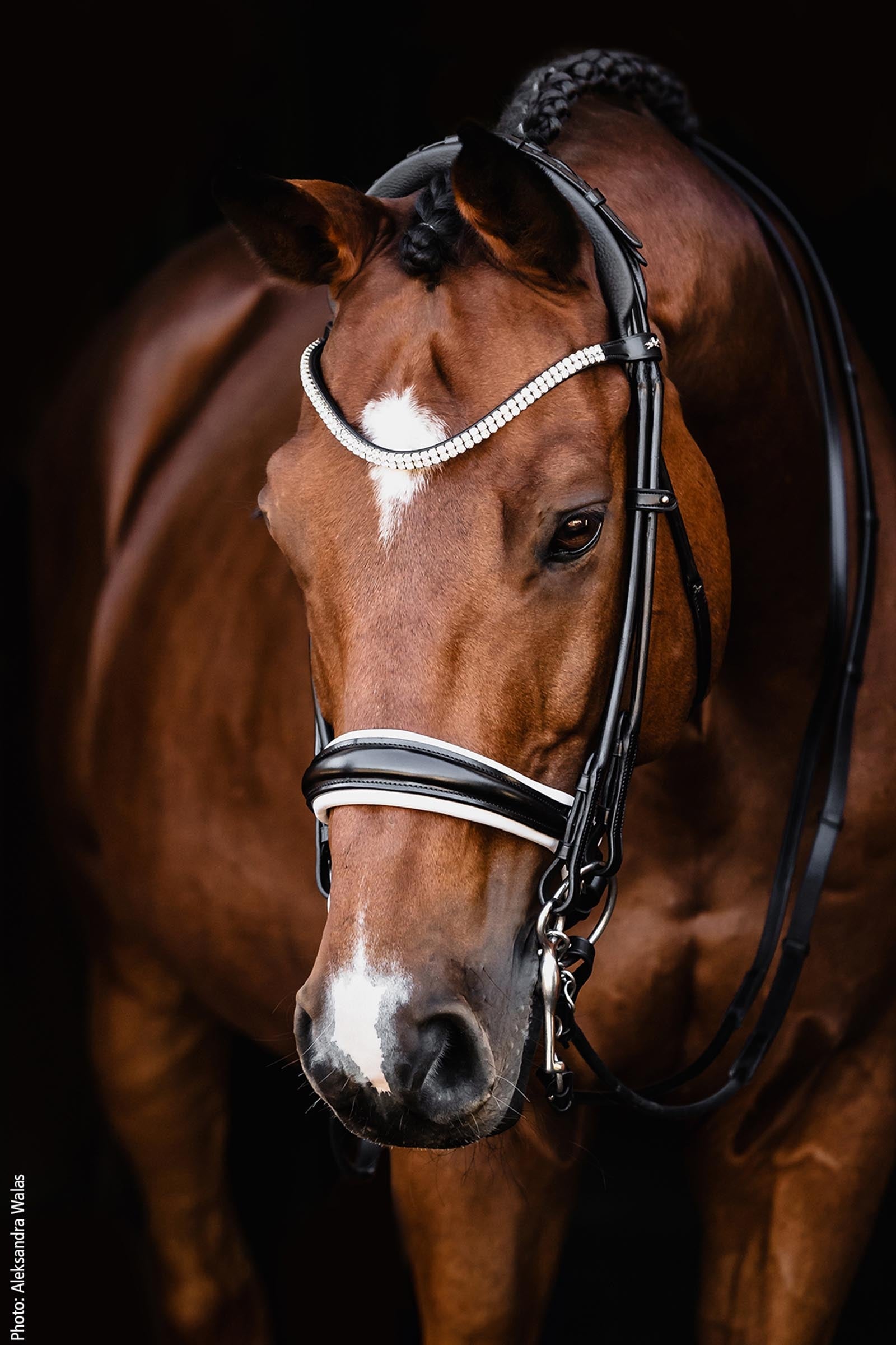 Schockemöhle Sports Bella Rose Double Bridle - Isabell Werth Collection Bridles & Reins
