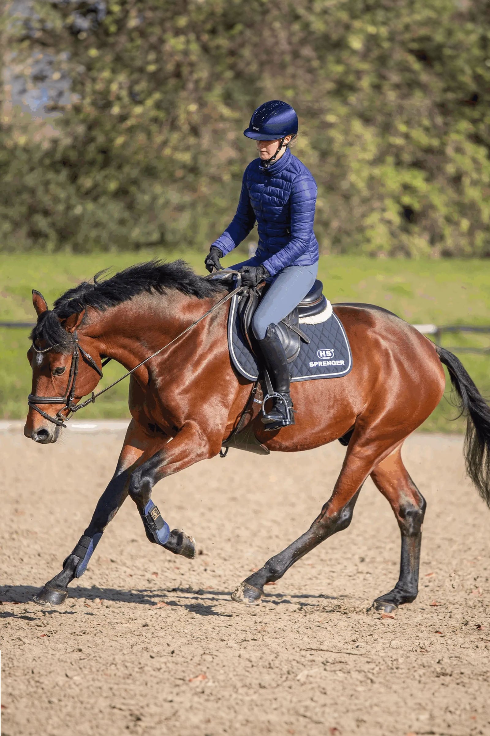 Sprenger Novocontact Eggbutt Bit 14mm Single Jointed Sensogan D-Shaped Rings Horse Bits