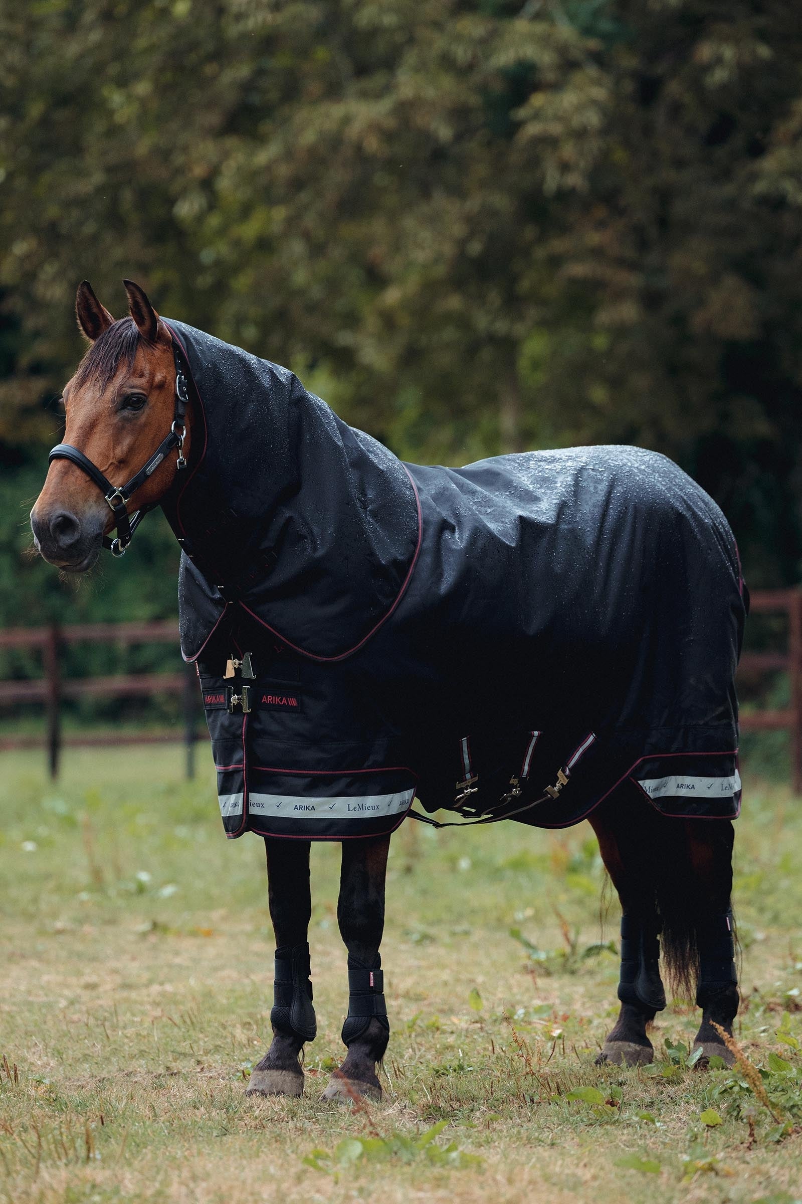 LeMieux Arika Storm-Tek Turnout Rug, 350 g Horse Rugs
