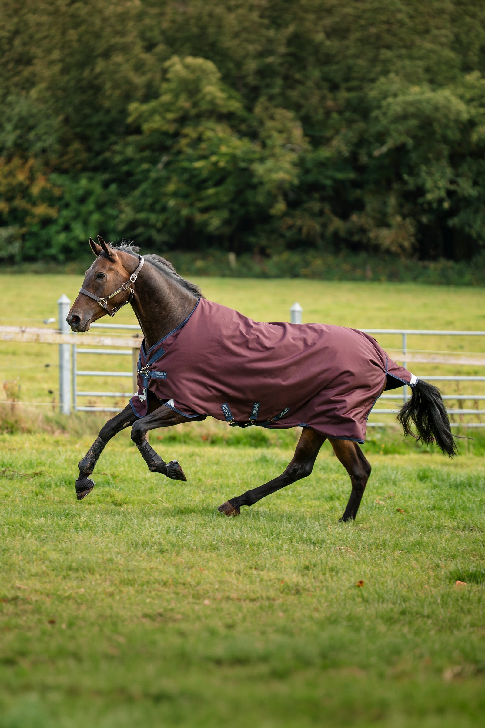 Horseware Amigo 1200D Turnout Rug, 100 g Horse Rugs