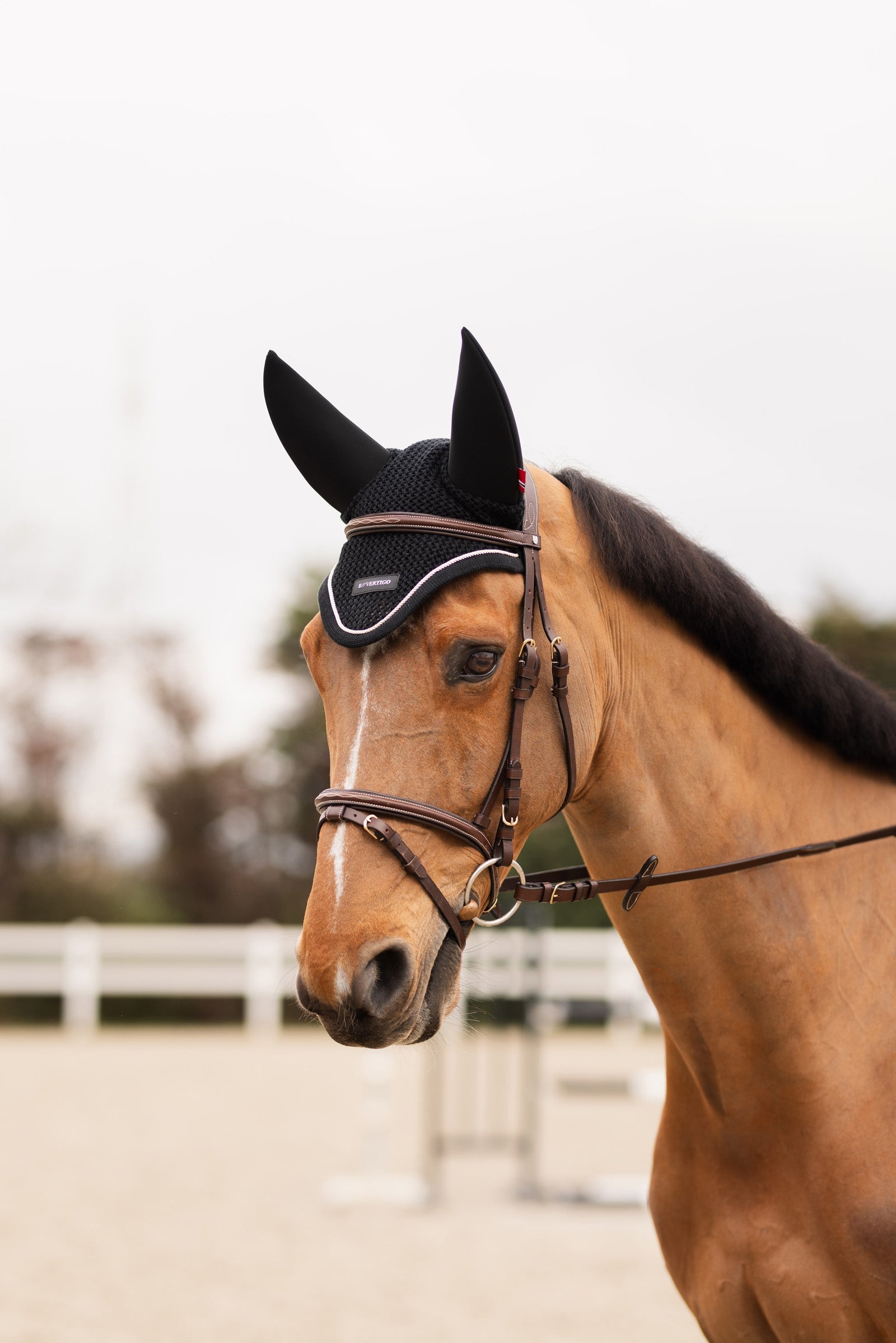 B Vertigo Rouge Reflection Fly Hood Antifly Protection for Horses